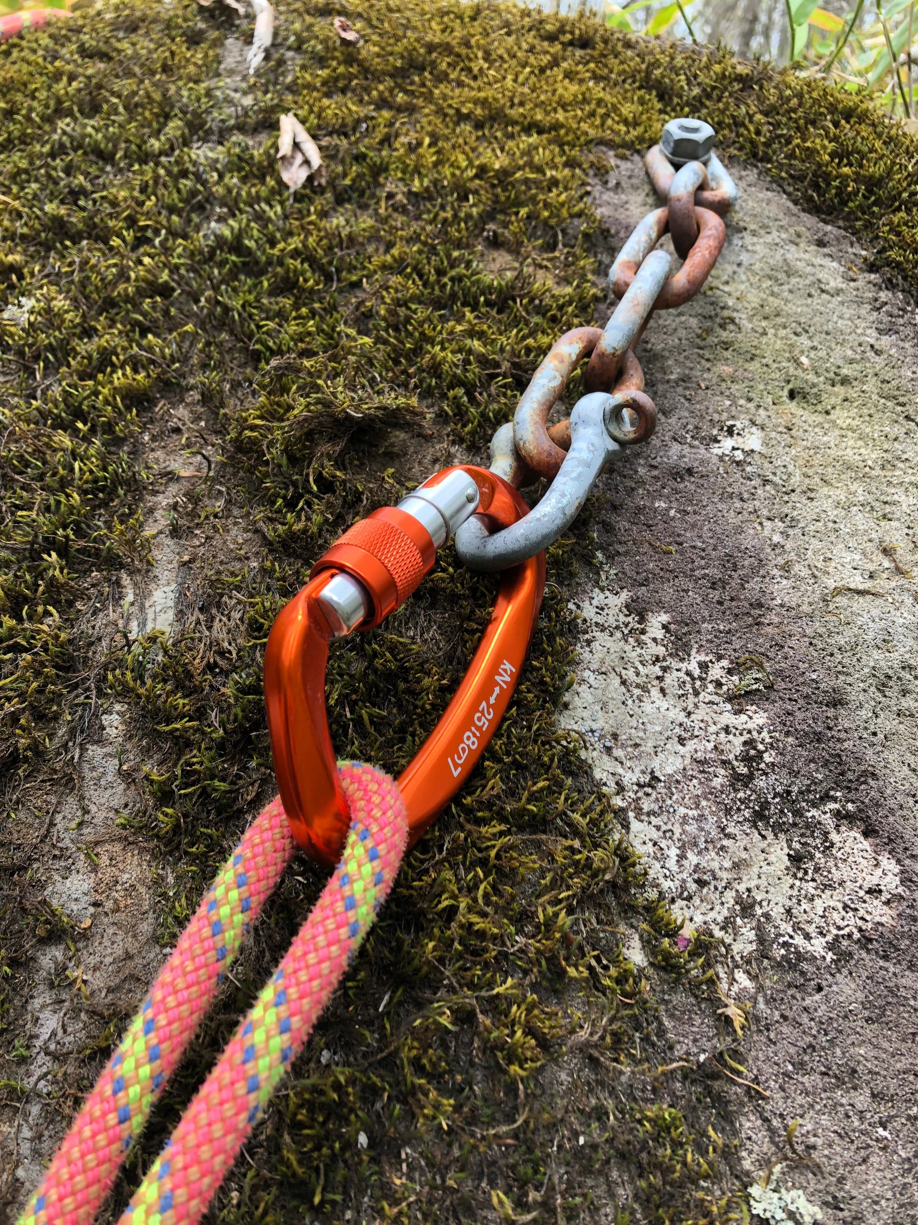 RedBull　palace カラビナ 最安値 中華製の激安カラビナに命かけてみた｜ASAI Nature Climbing