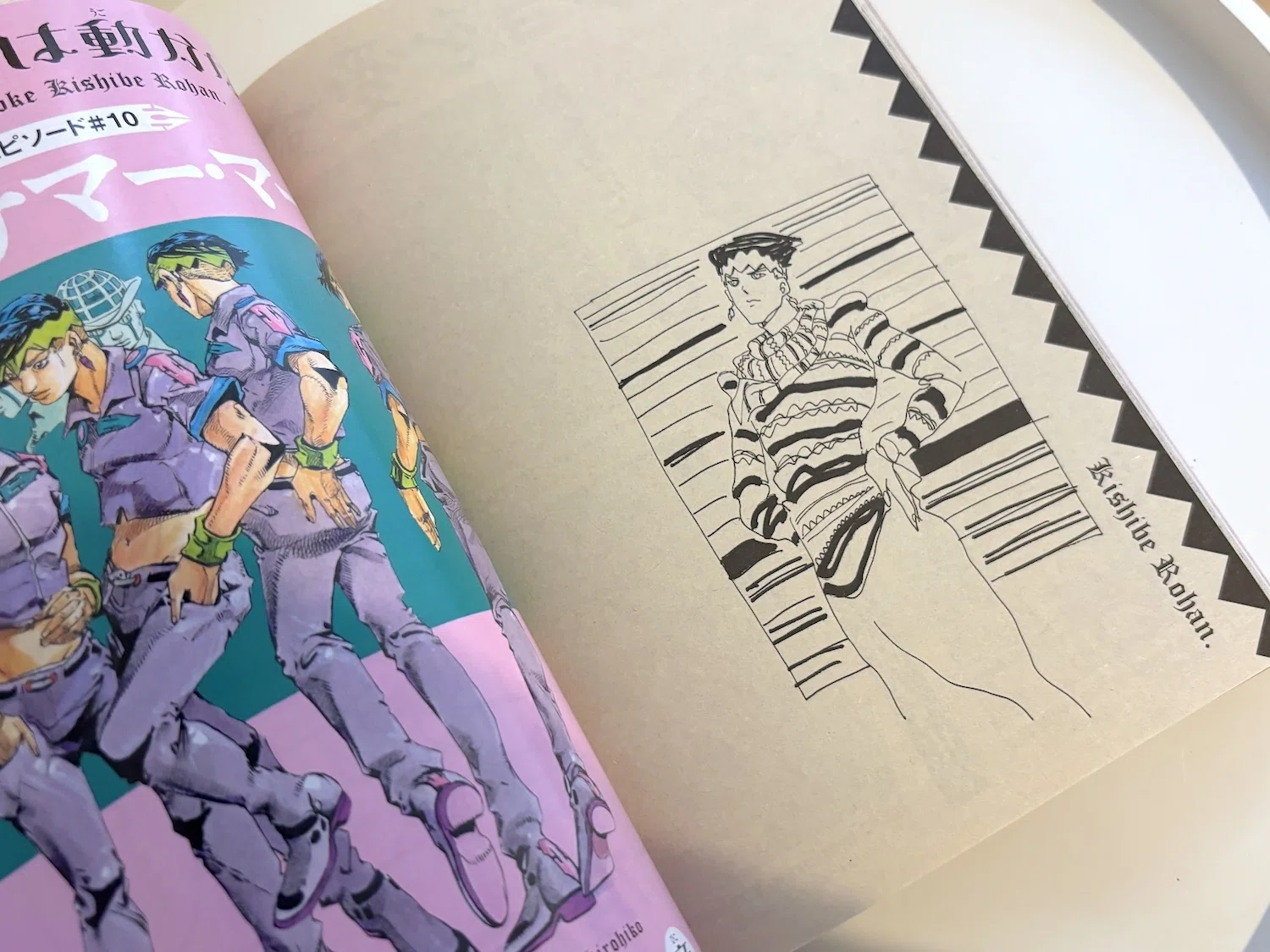 WORKS 1981-2012 HIROHIKO ARAKI Araki ジョジョの奇妙な冒険 2012 