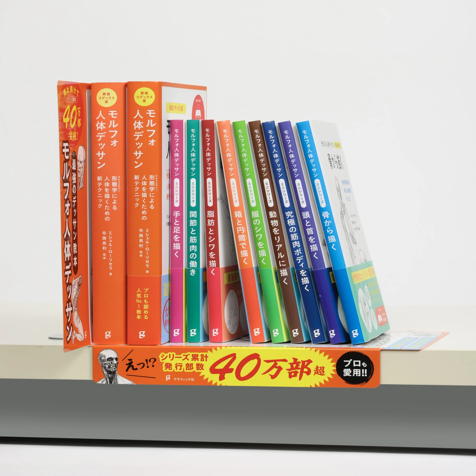 美術書担当編集が解説！ 『モルフォ人体デッサンシリーズ』特集 