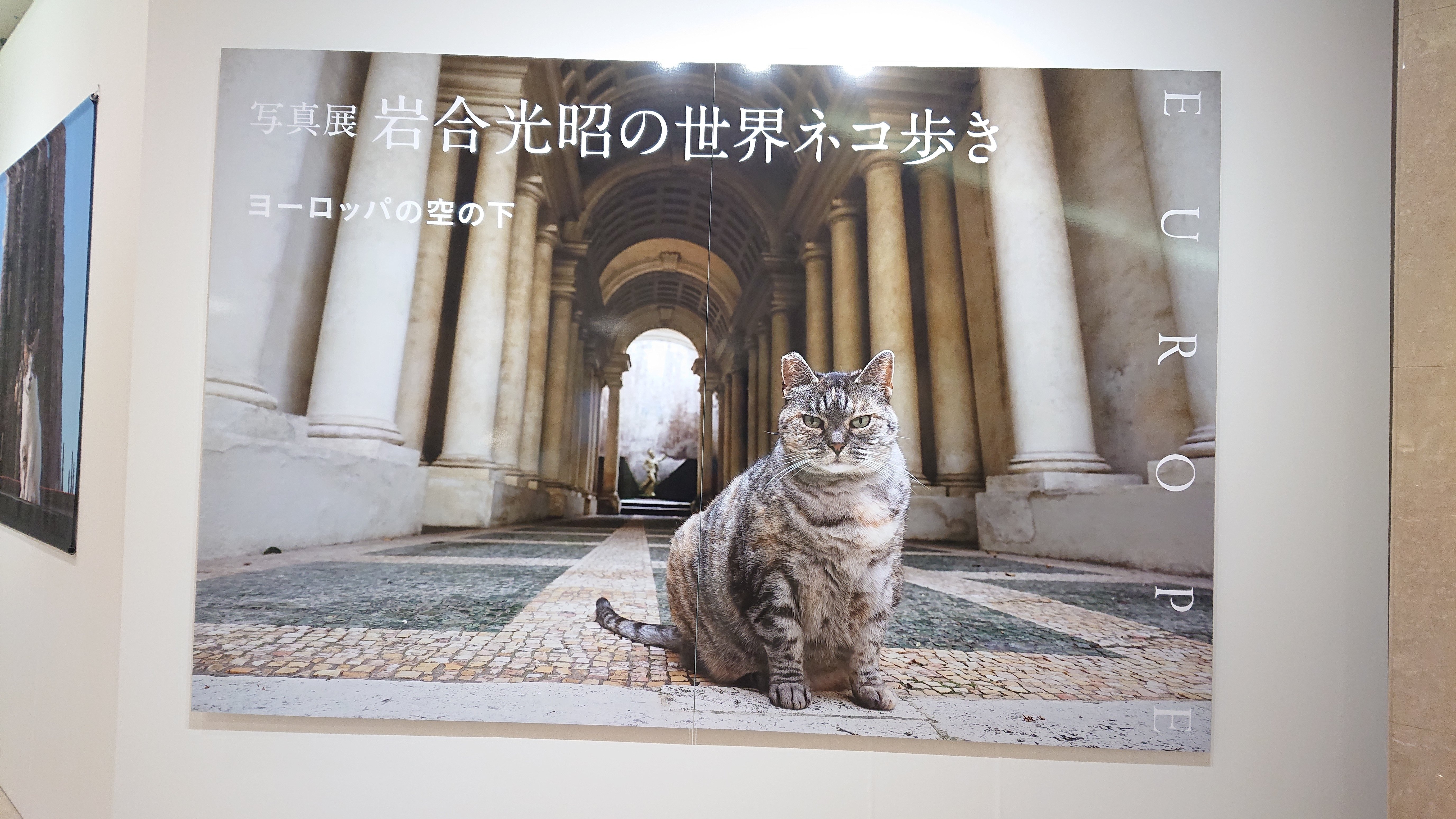 【激レア】昭和36年「世界観光大観」古本 2025年最新】Yahoo!オークション -科学大観(本、雑誌)の中古品