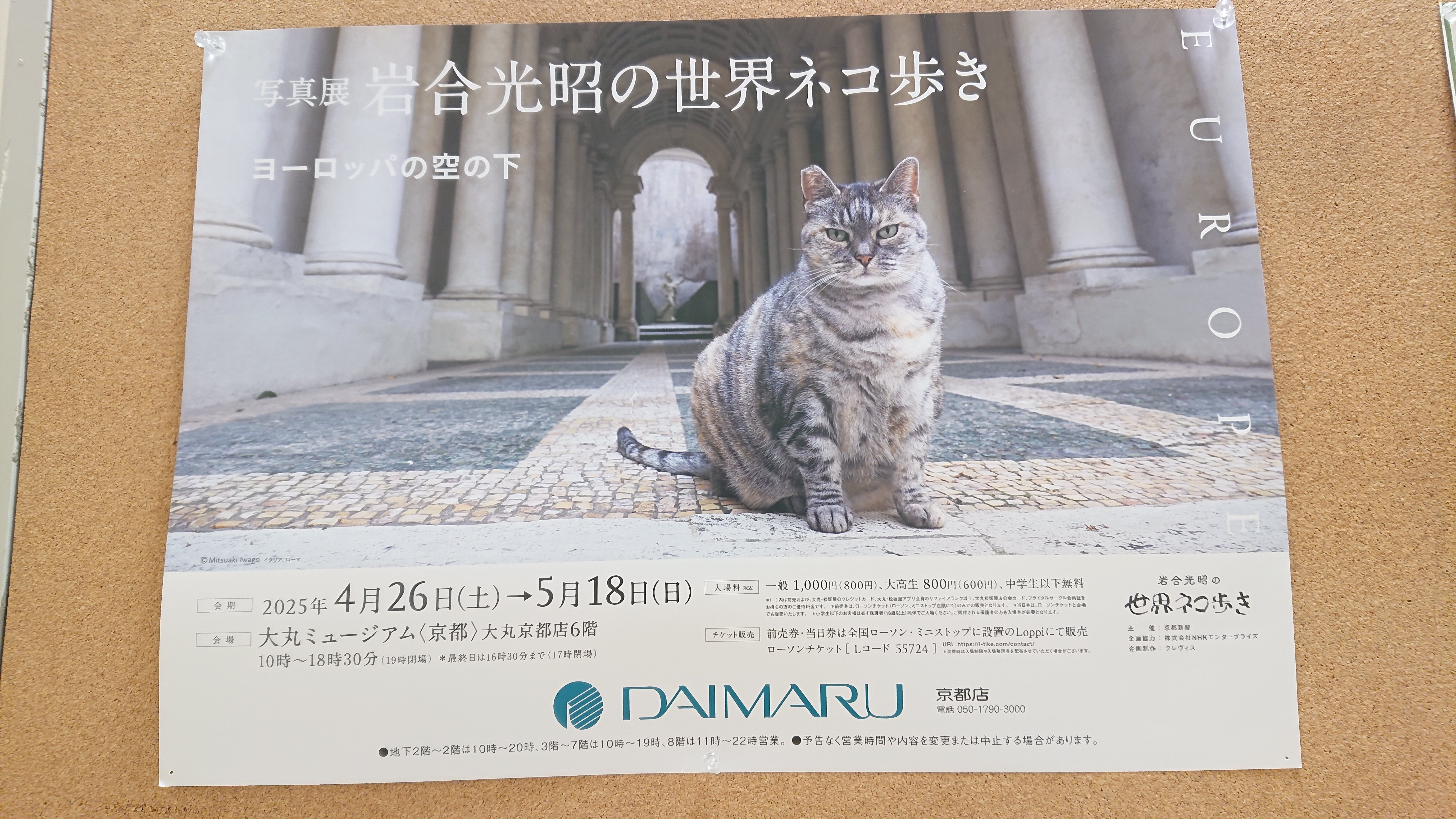 世界ネコ歩き 京都大丸 岩合光昭 ヨーロッパ写真｜琴線にふれたら
