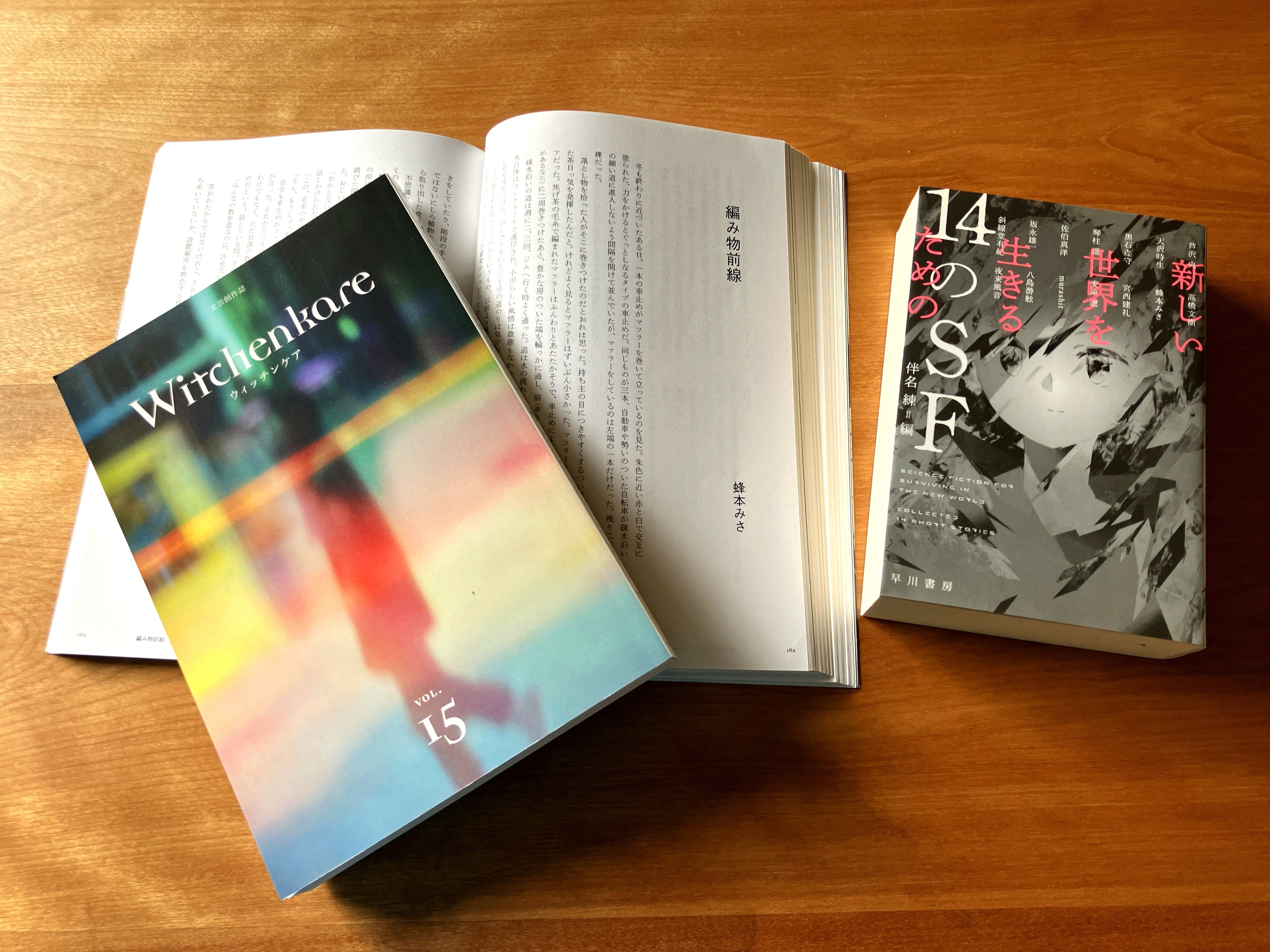 VOL.15寄稿者＆作品紹介28 蜂本みささん｜多田洋一（文芸創作誌