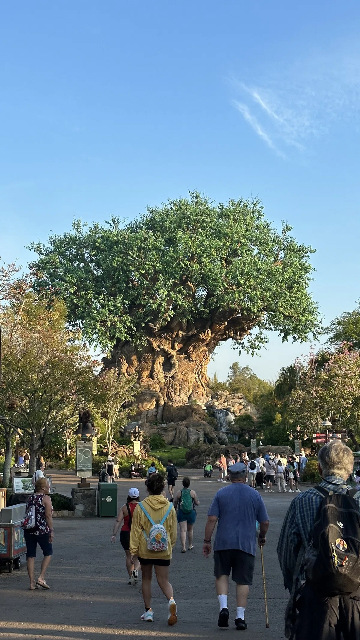 WDWに行ってきた！ -アニマル キングダム篇-｜ケイイチ
