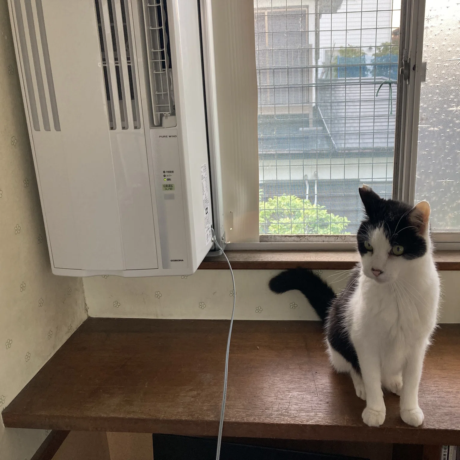 暑い夏がそこまで来てる？ 〜DIYで、窓エアコンをつけてみた｜てすり屋 