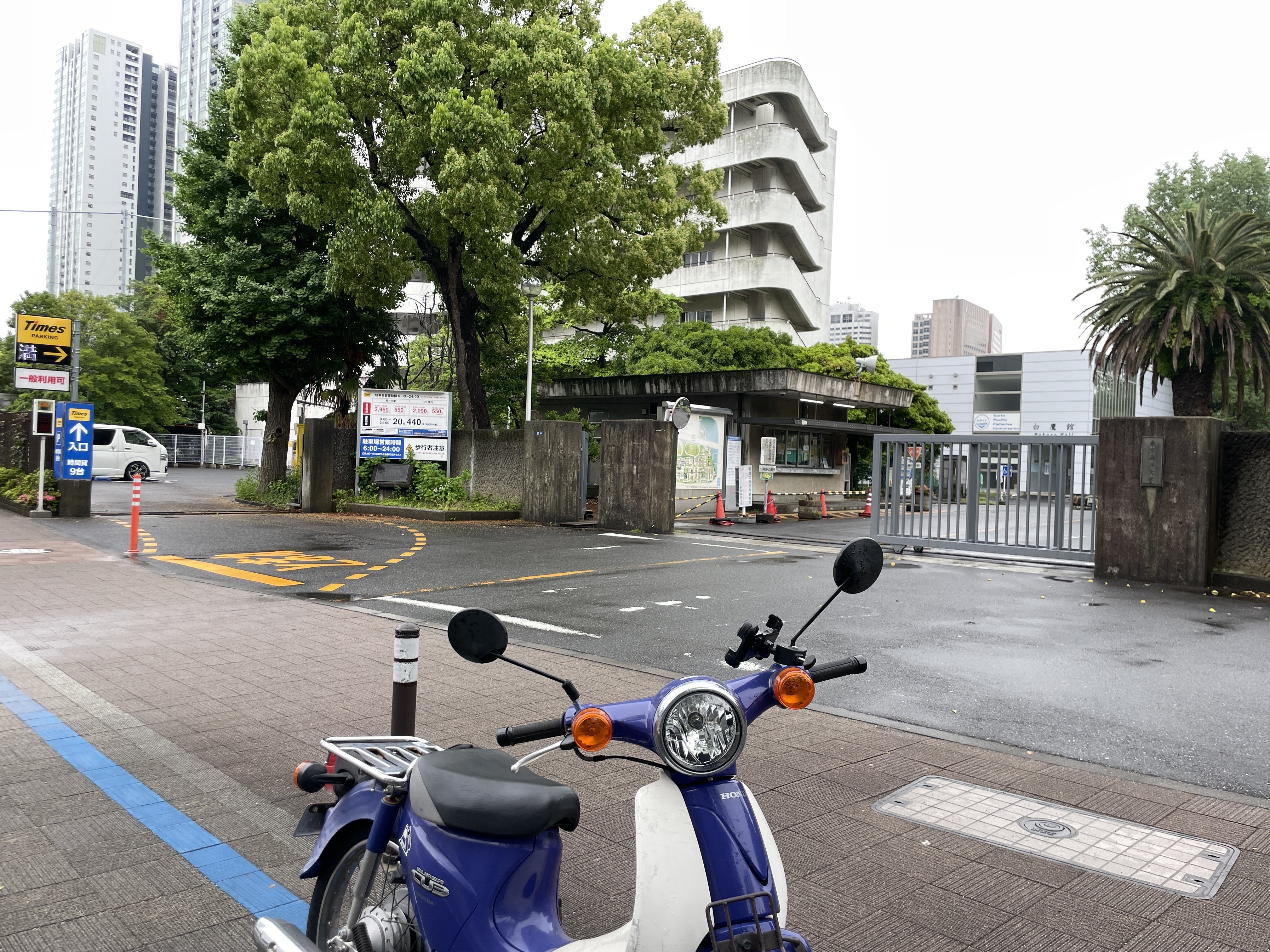 赤本　東京海洋大学　東京商船大学　東京水産大学　2000年版 東京海洋大学の歴史を紹介🚢／ 品川と門前仲町からほど近い越中島の2