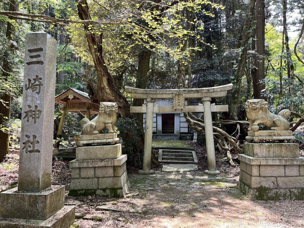 天に架けた巨大な橋 翡翠の地に伝わる木柱に託した願いとは 〜糸魚川の