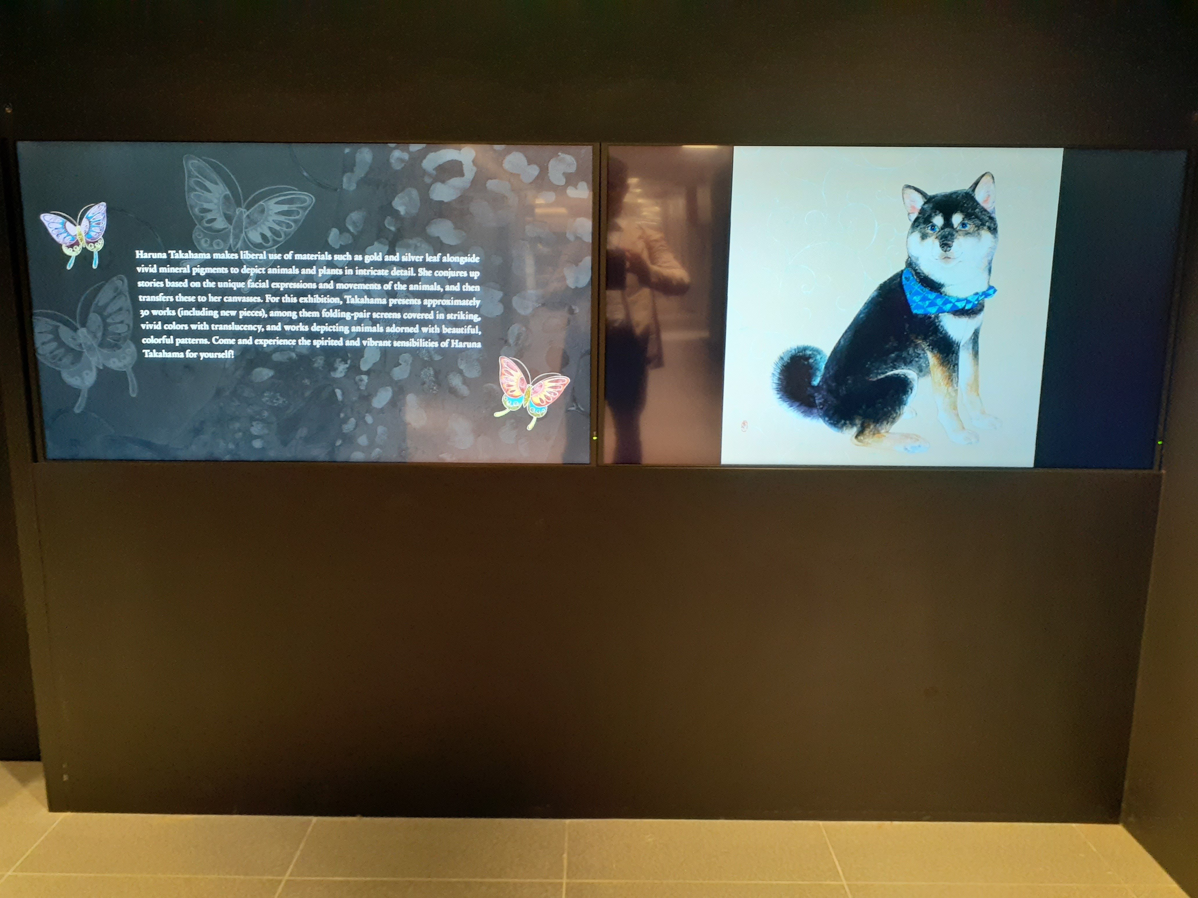 訪廊日記】鷹濱春奈 個展 「一瞬のそのとき」 artglorieux 5月14日