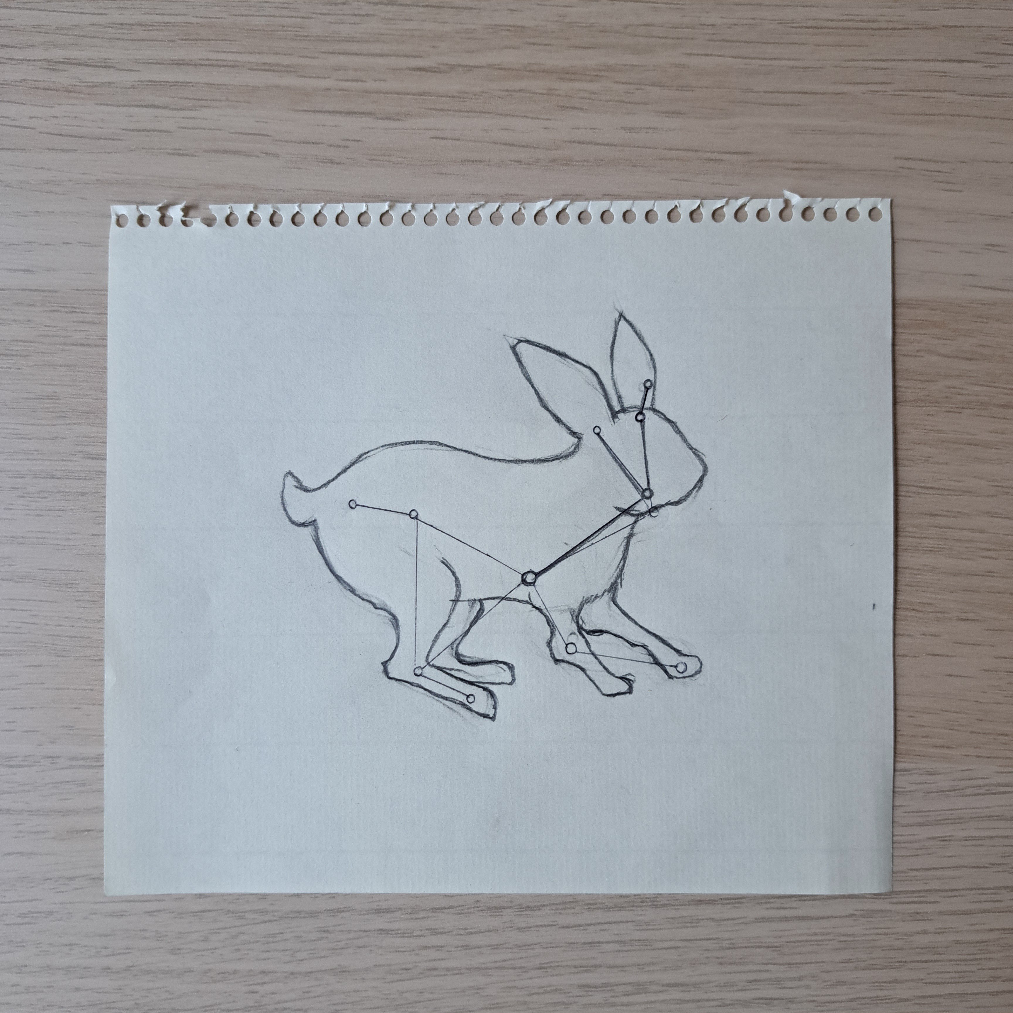 制作途中のウサギの絵｜Kerousa (けろうさ。)