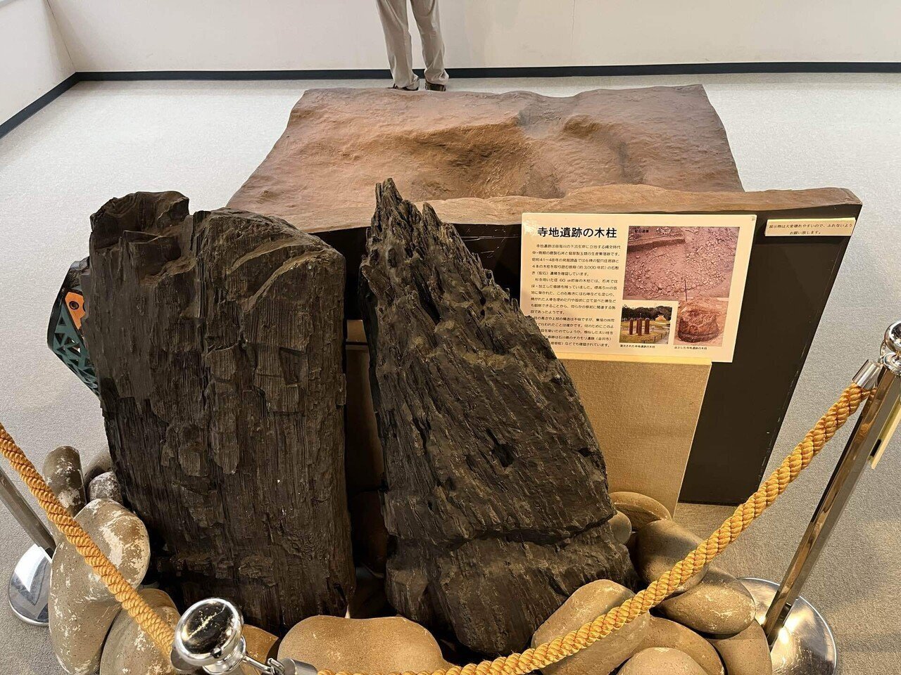 天に架けた巨大な橋 翡翠の地に伝わる木柱に託した願いとは 〜糸魚川の