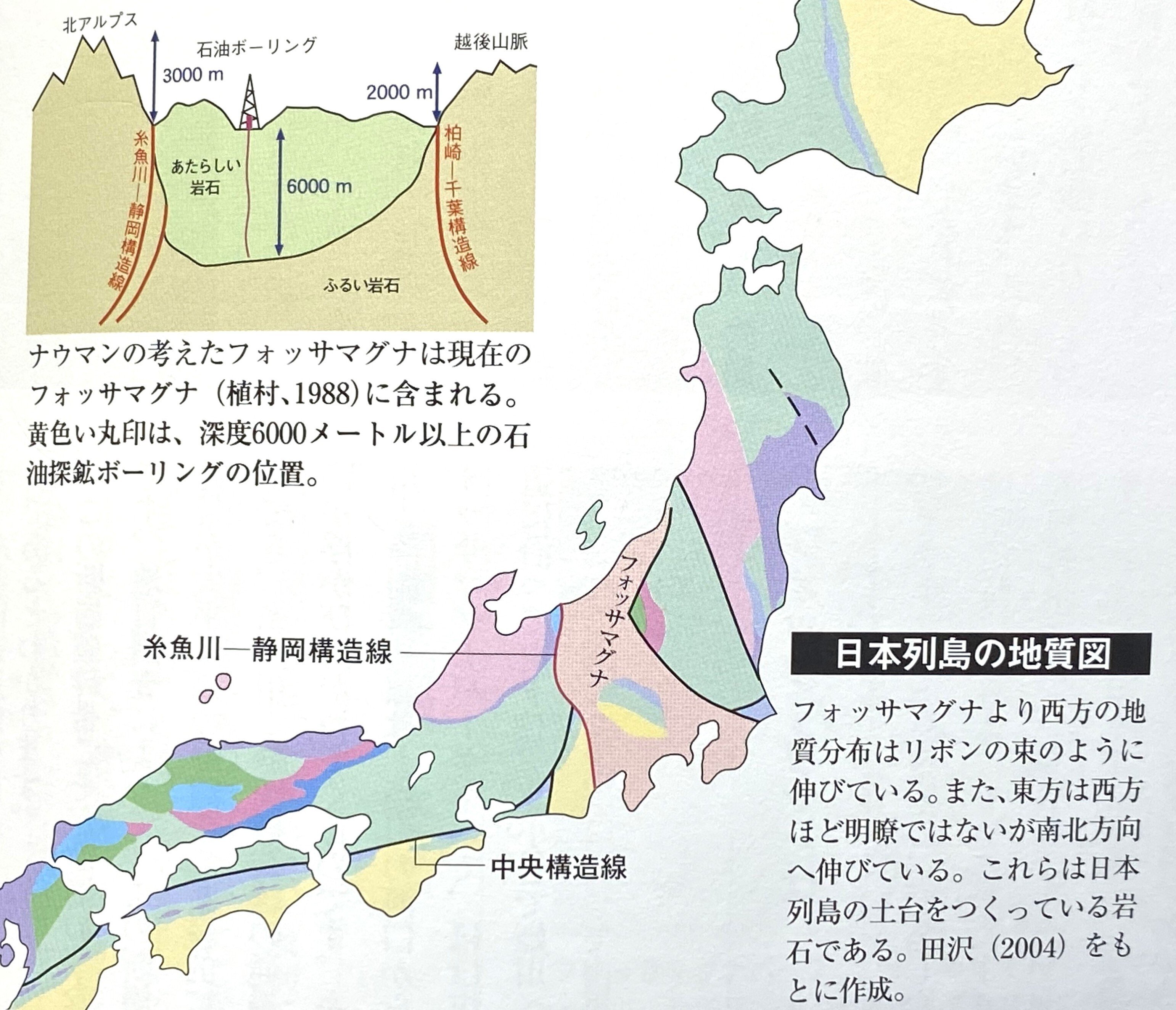 激レア！中央構造線 日本アルプス 岩