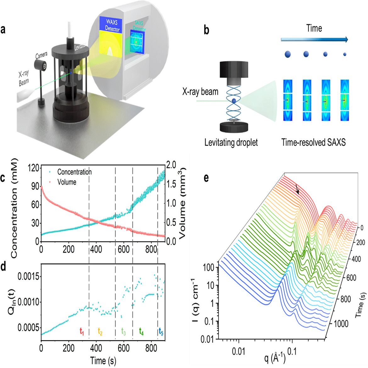 水の中で“自己組織”するナノ材料──分子が勝手に並ぶ、その美しい