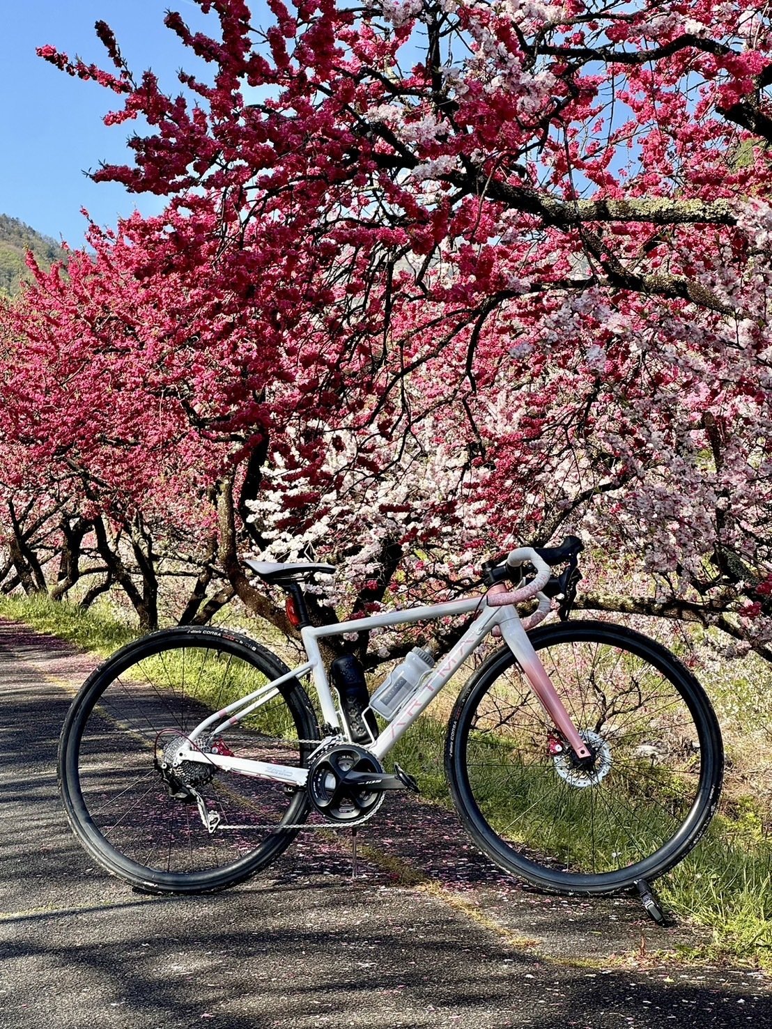 おかずちゃん様確認用、 おかずちゃんの「オリジナルARTMA」できました！｜ARTMA公式note