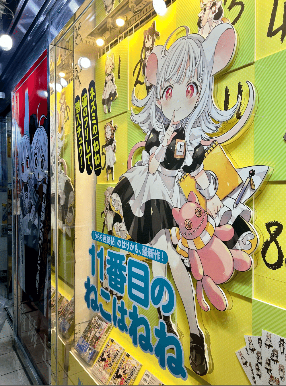 11ねこお知らせ色々｜はりかも