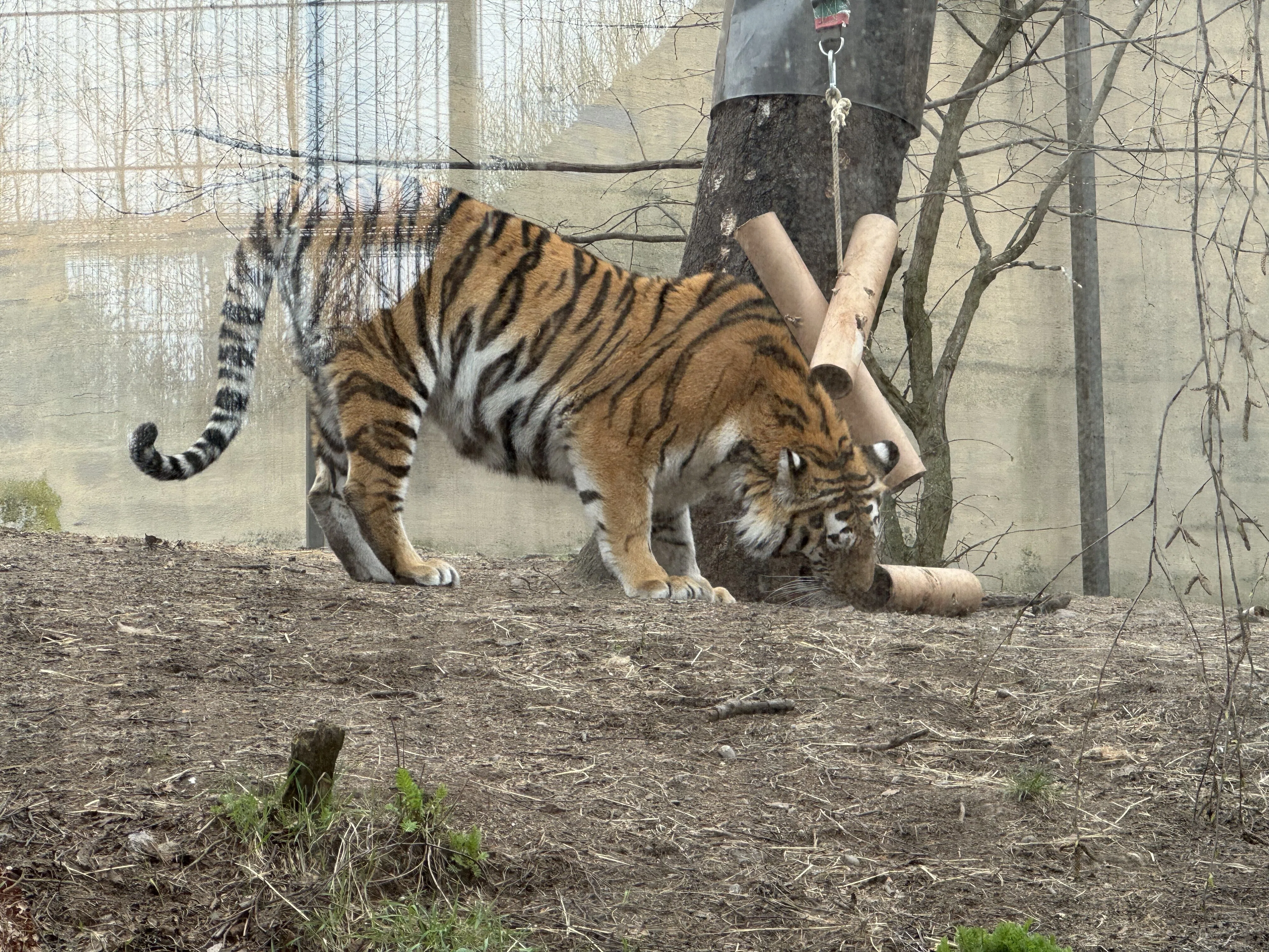 🇫🇮 Parenting] I visited the zoo and the Natural History Museum