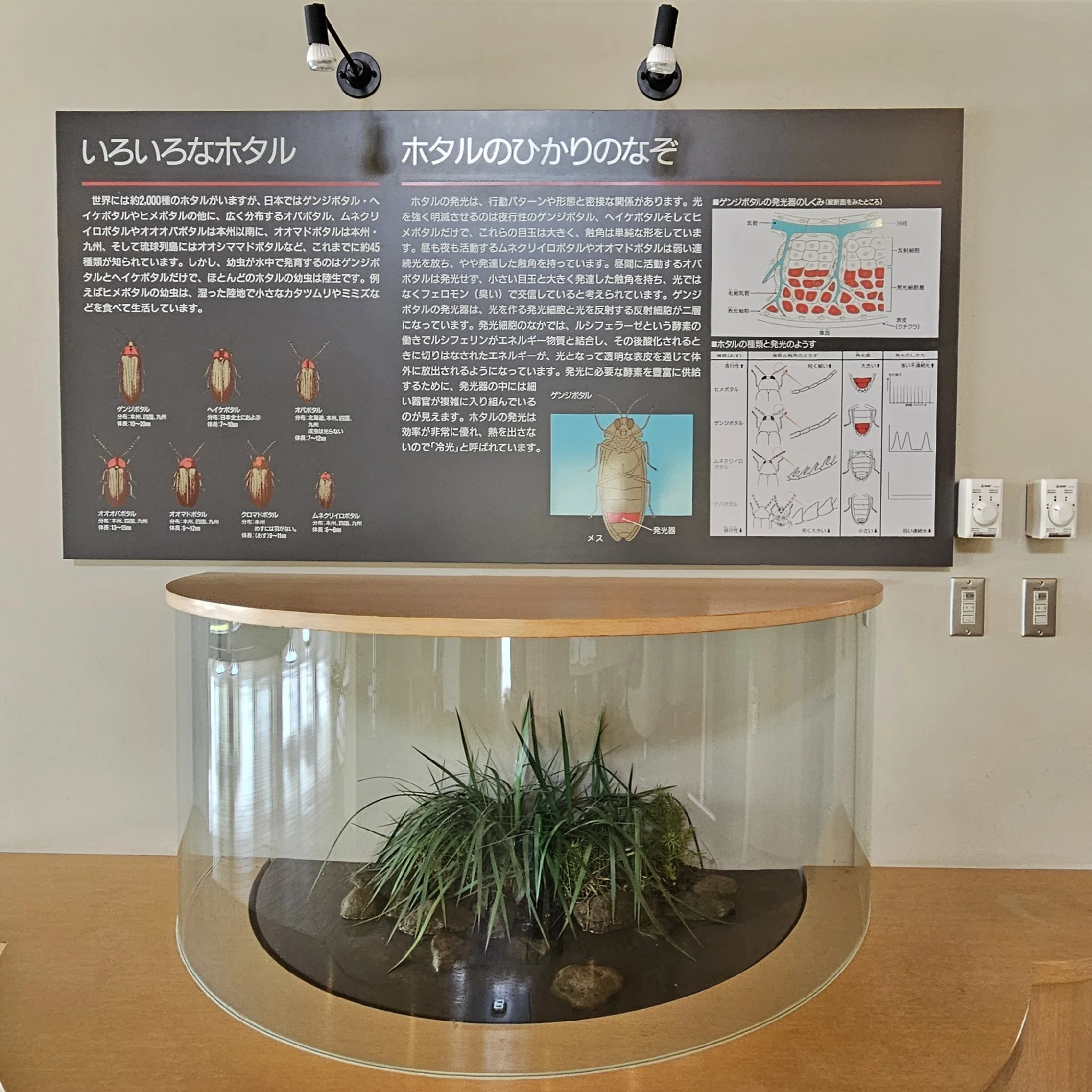 全国自然博物館の旅【62】沼田町化石体験館｜美原さつき