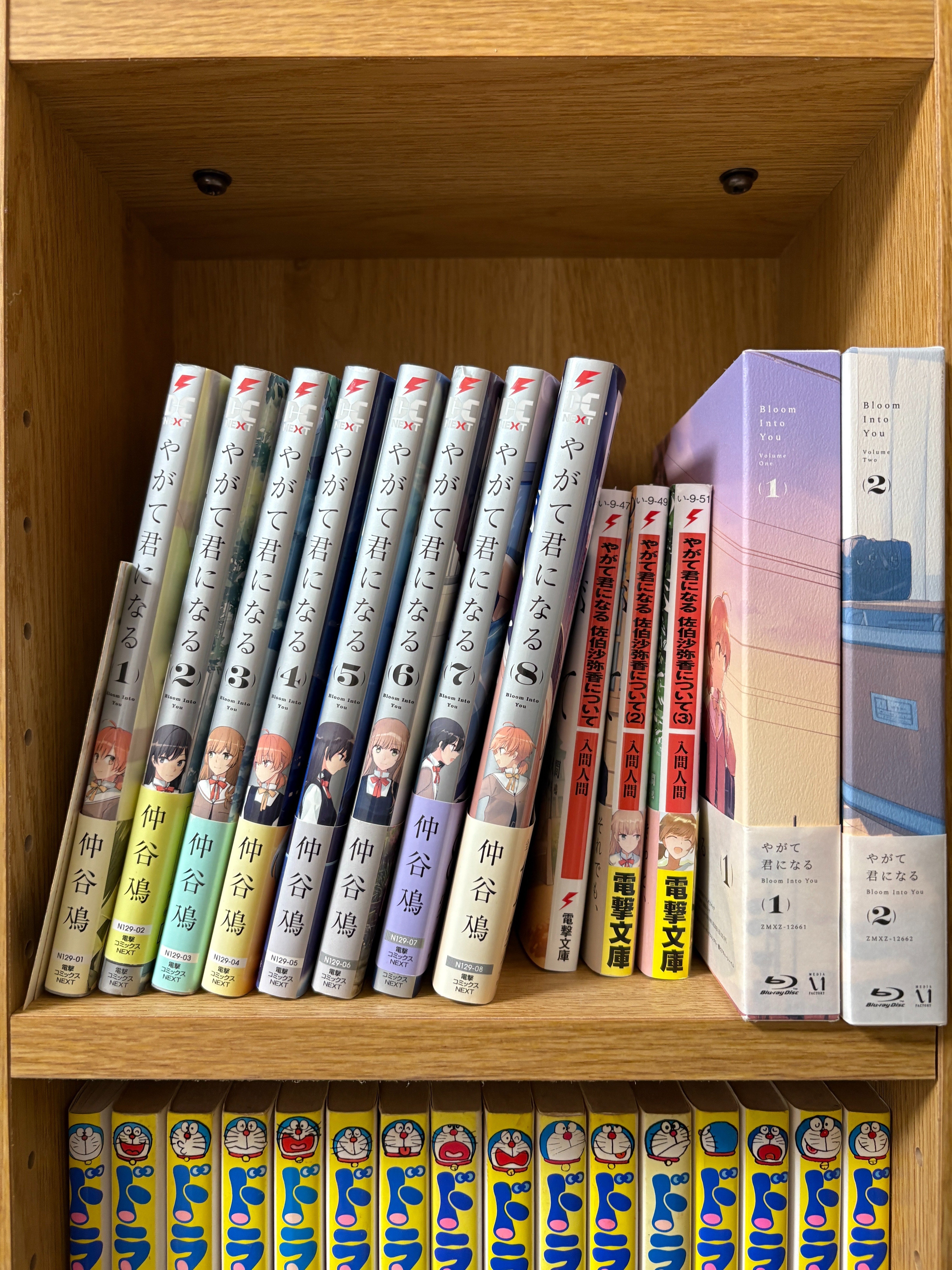 自分の部屋の本棚を紹介してみる｜栗城 紡