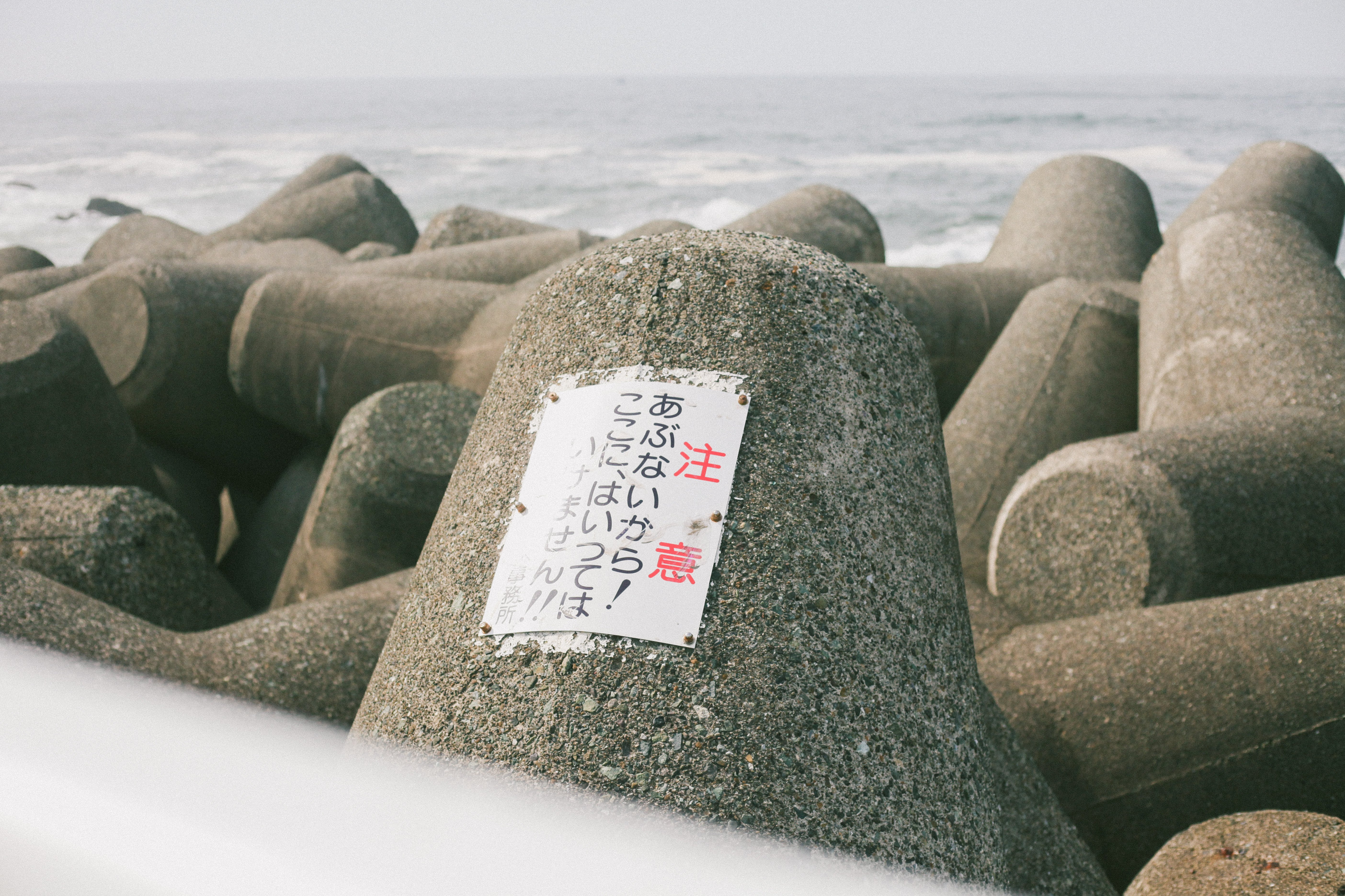 映え写真に！神レンズ✨Canon EF 50mm F1.8 STM✨単焦点レンズ