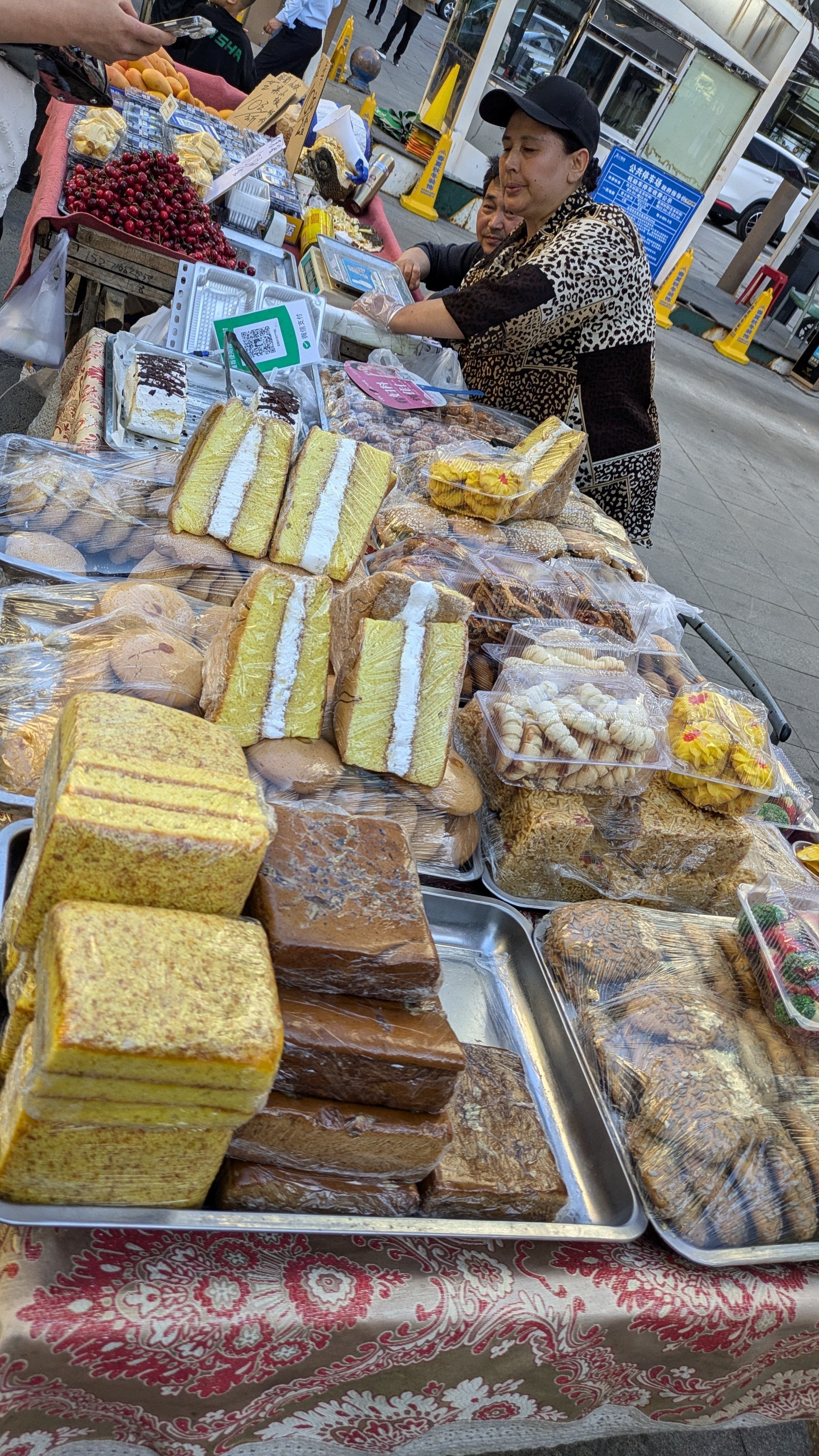 P.tianschanicus（1メス、中国新疆省ウルムチ） P.tianschanicus（1メス、中国新疆省ウルムチ）