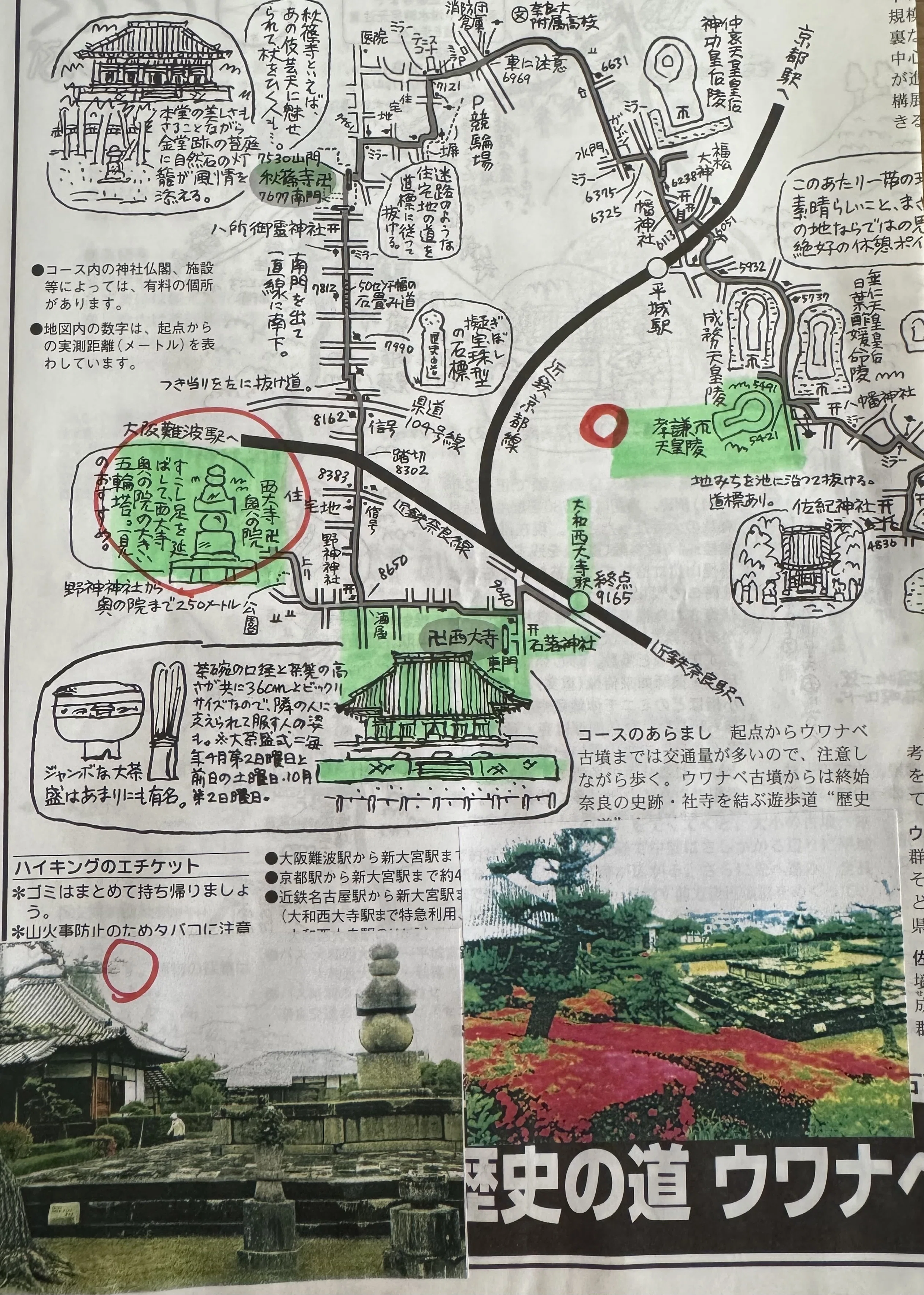 西大寺 邪鬼の向こうへ｜しかのじょう