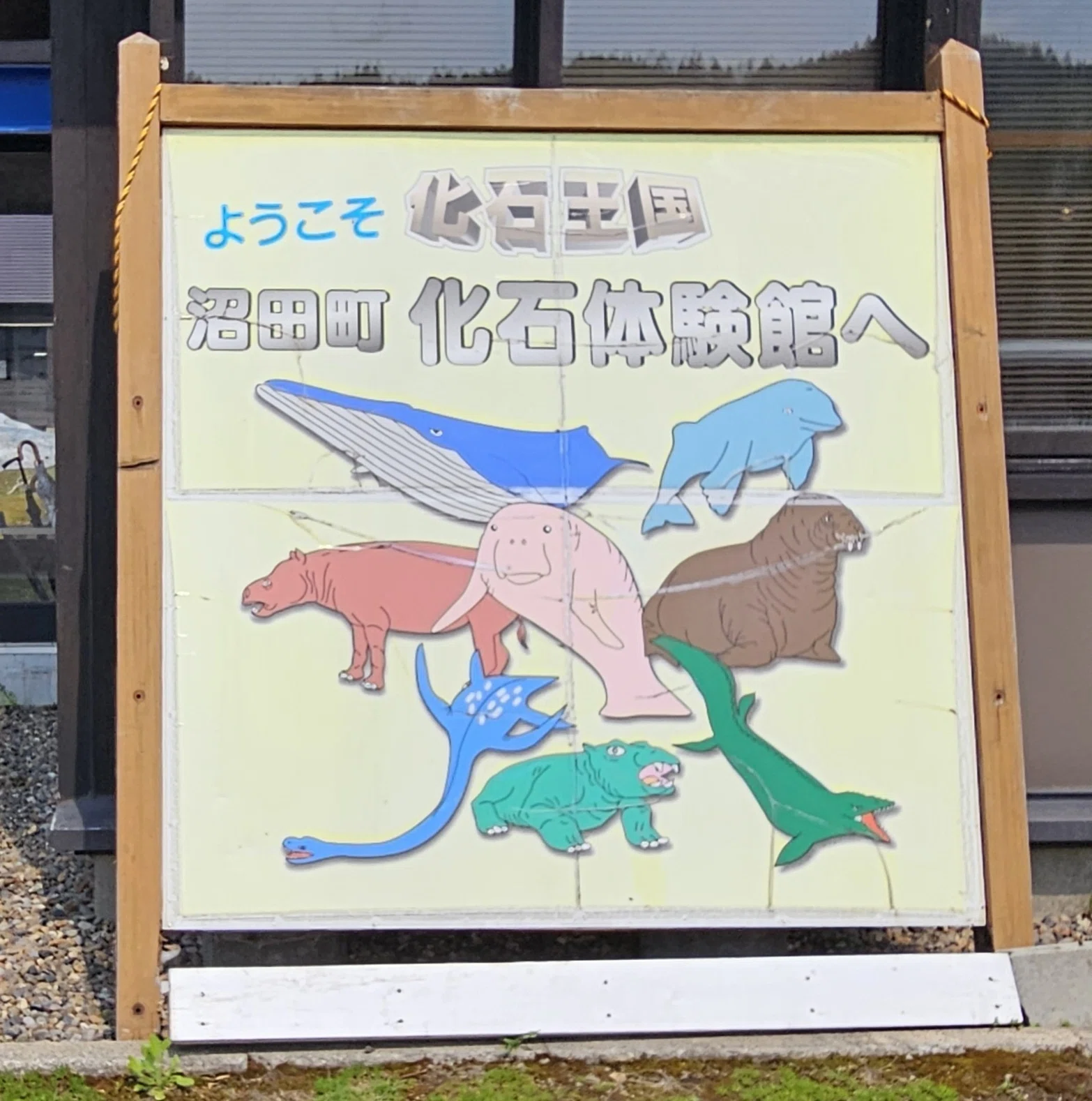 全国自然博物館の旅【62】沼田町化石体験館｜美原さつき