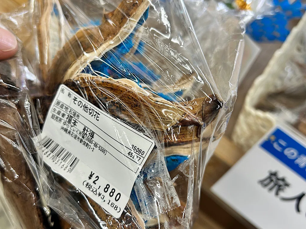 宝石のような種をつけるタビビトノキ｜石垣島の美しい川平湾で「神事の