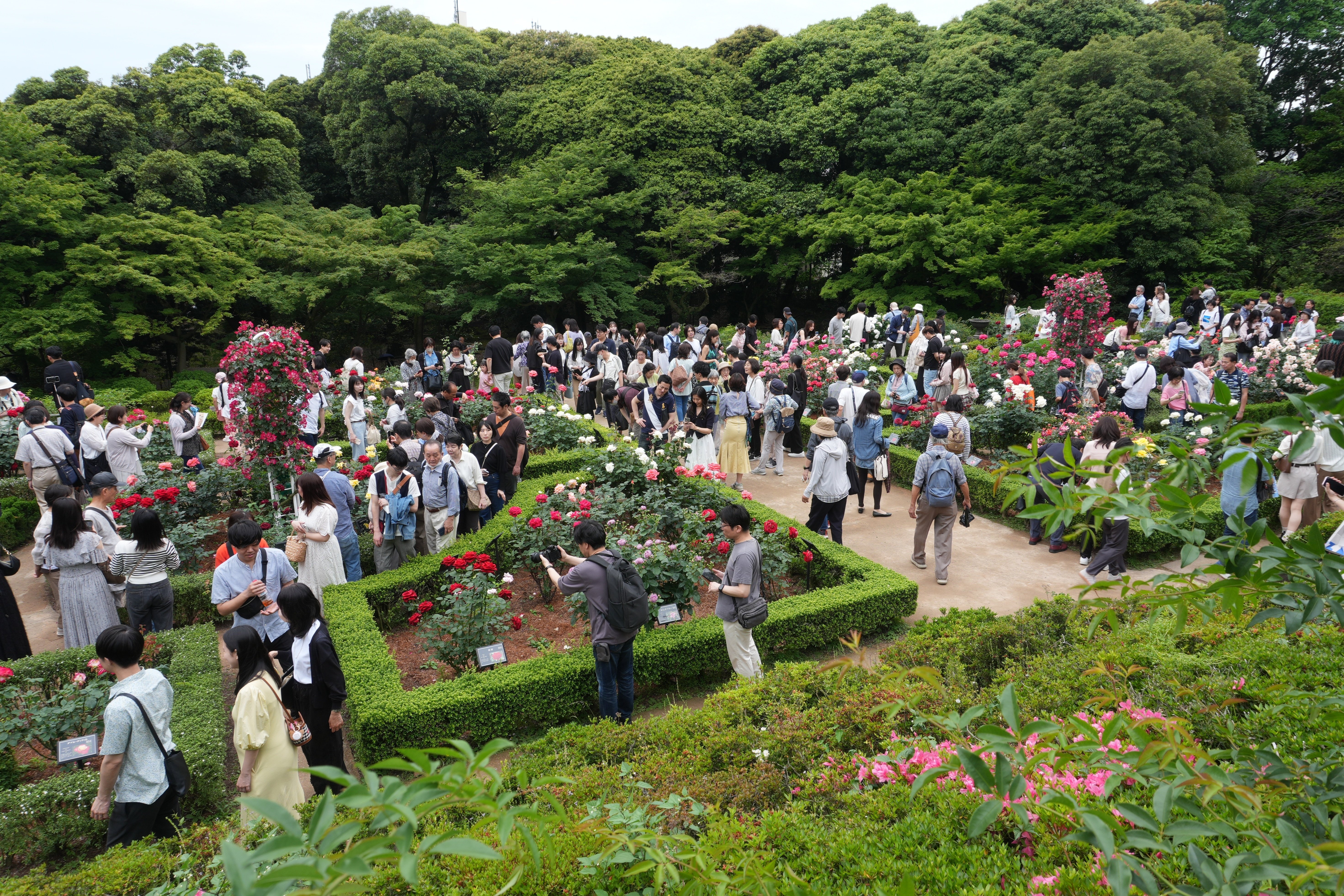 𝒴𝓊𝓀𝑜 𝒮𝒽𝒾𝓂𝒾𝓏𝓊 | 🌹🍃 旧古河庭園 ♡ Furukawa