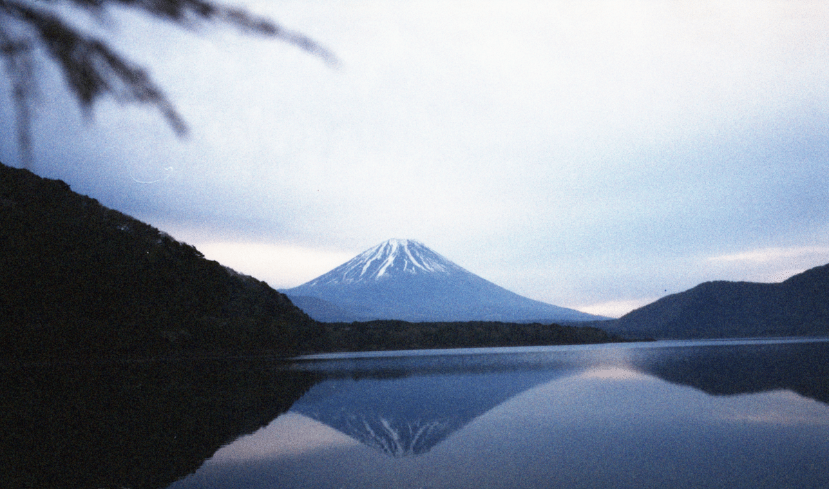 PHOENIX 200 | 粒感があり温かな写りを求める方へ｜sadasue