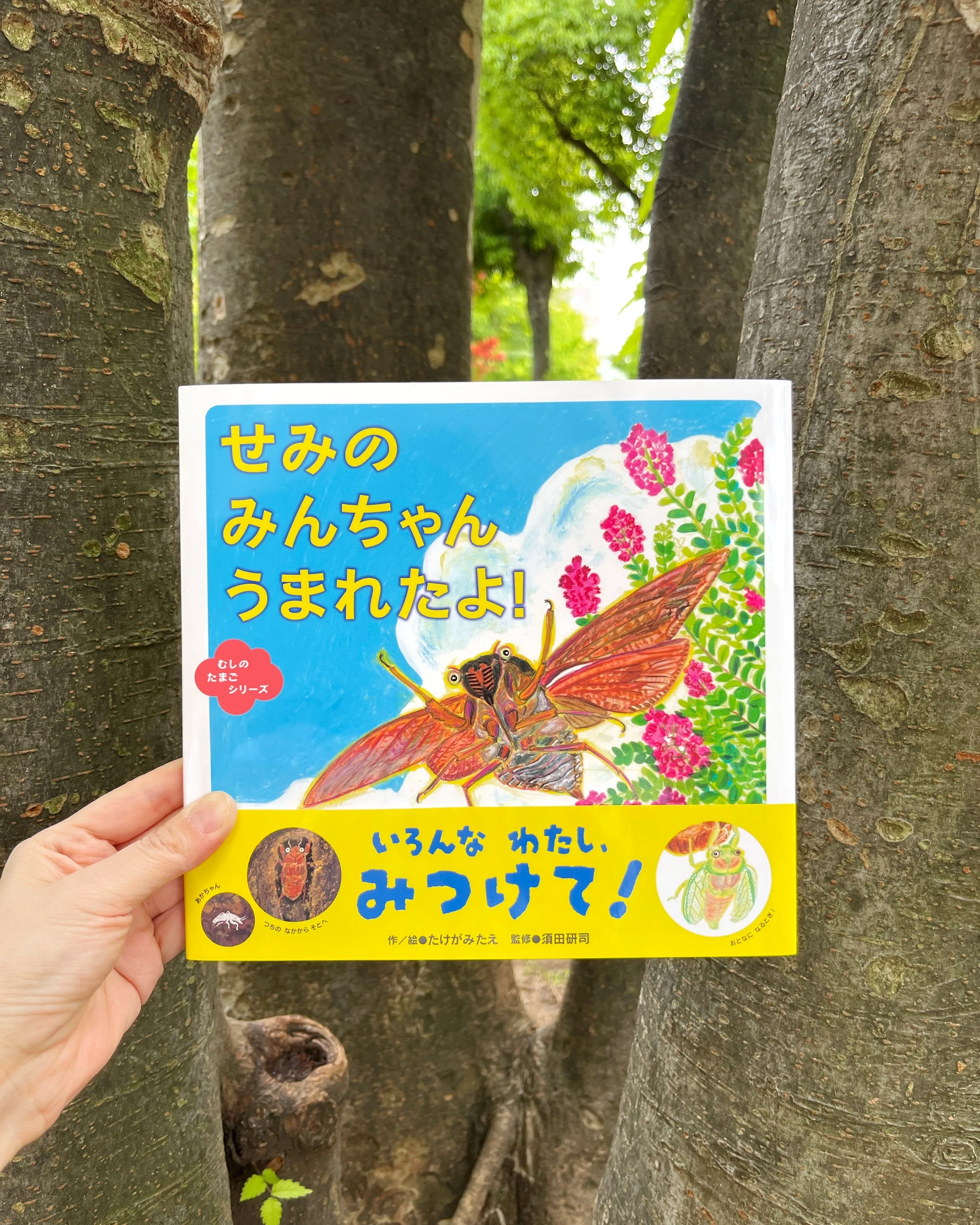 生まれてから、命をつぎにつなぐまで――絵本『せみの みんちゃん うまれ