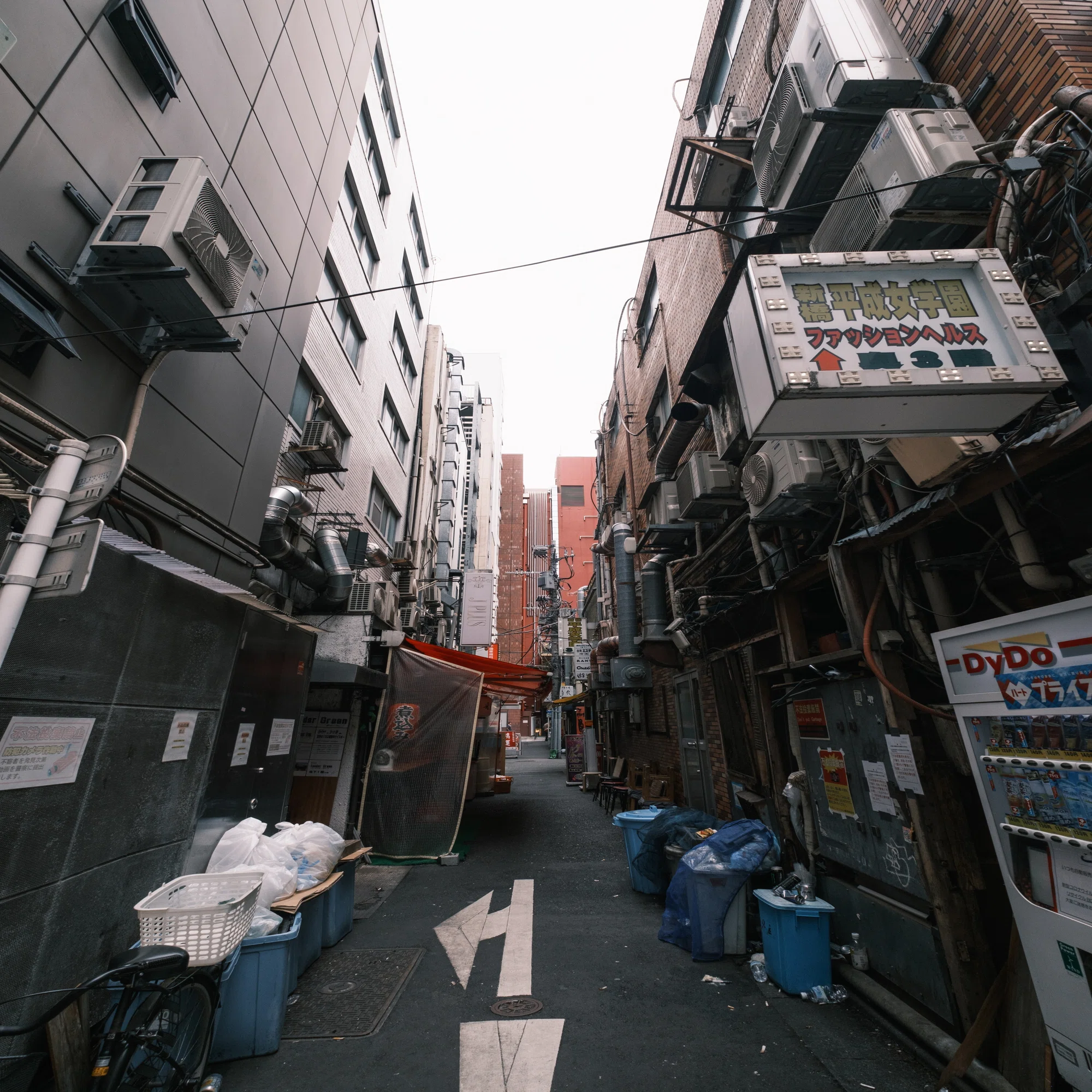 新橋 平成 女 学園