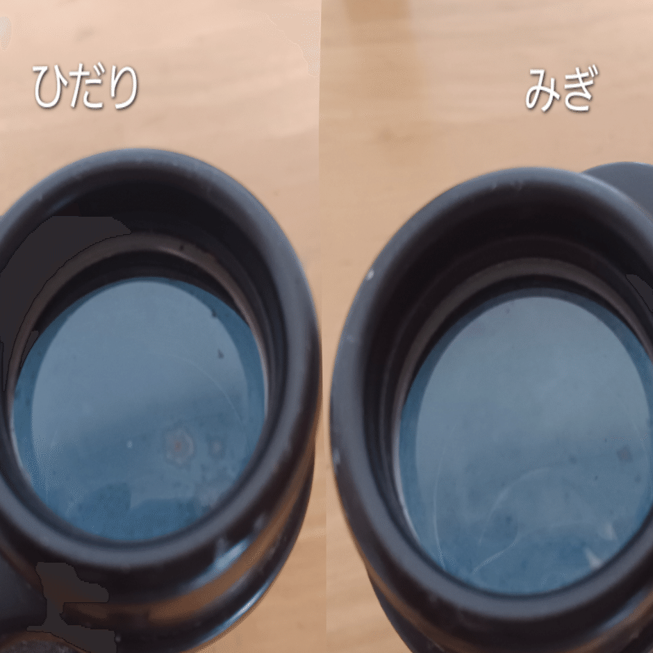 素人、双眼鏡をオーバーホールしてみる｜Nao