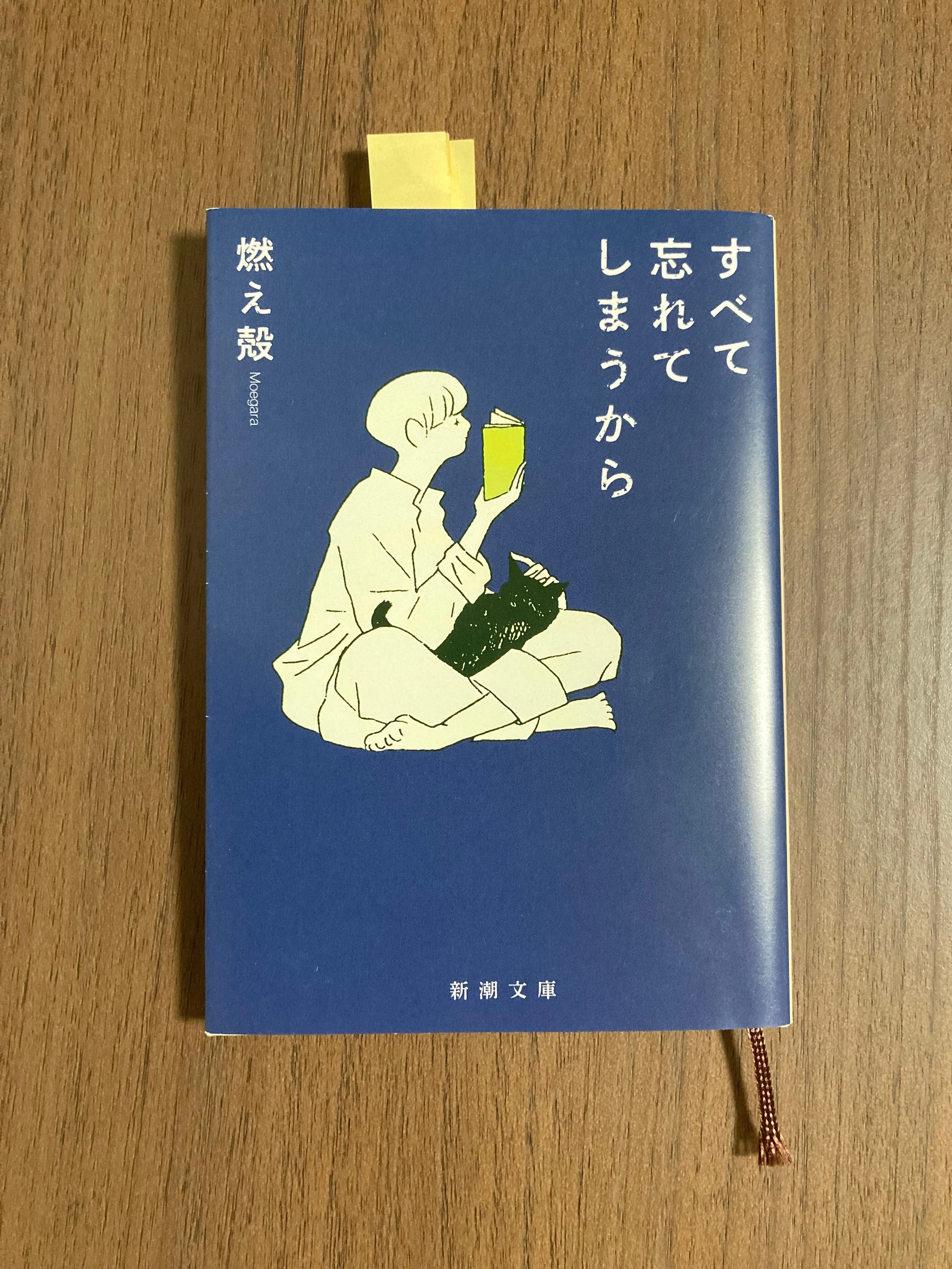 書評】そう、こういうのを、読みたかったんだ。(すべて忘れてしまう