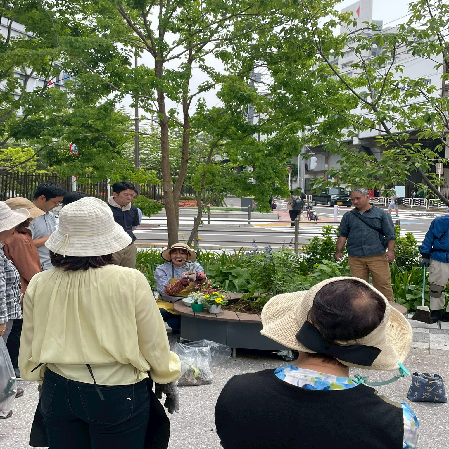 清水建設NOVAREのコミュニティガーデン活動2025年5月16日｜東方陽子