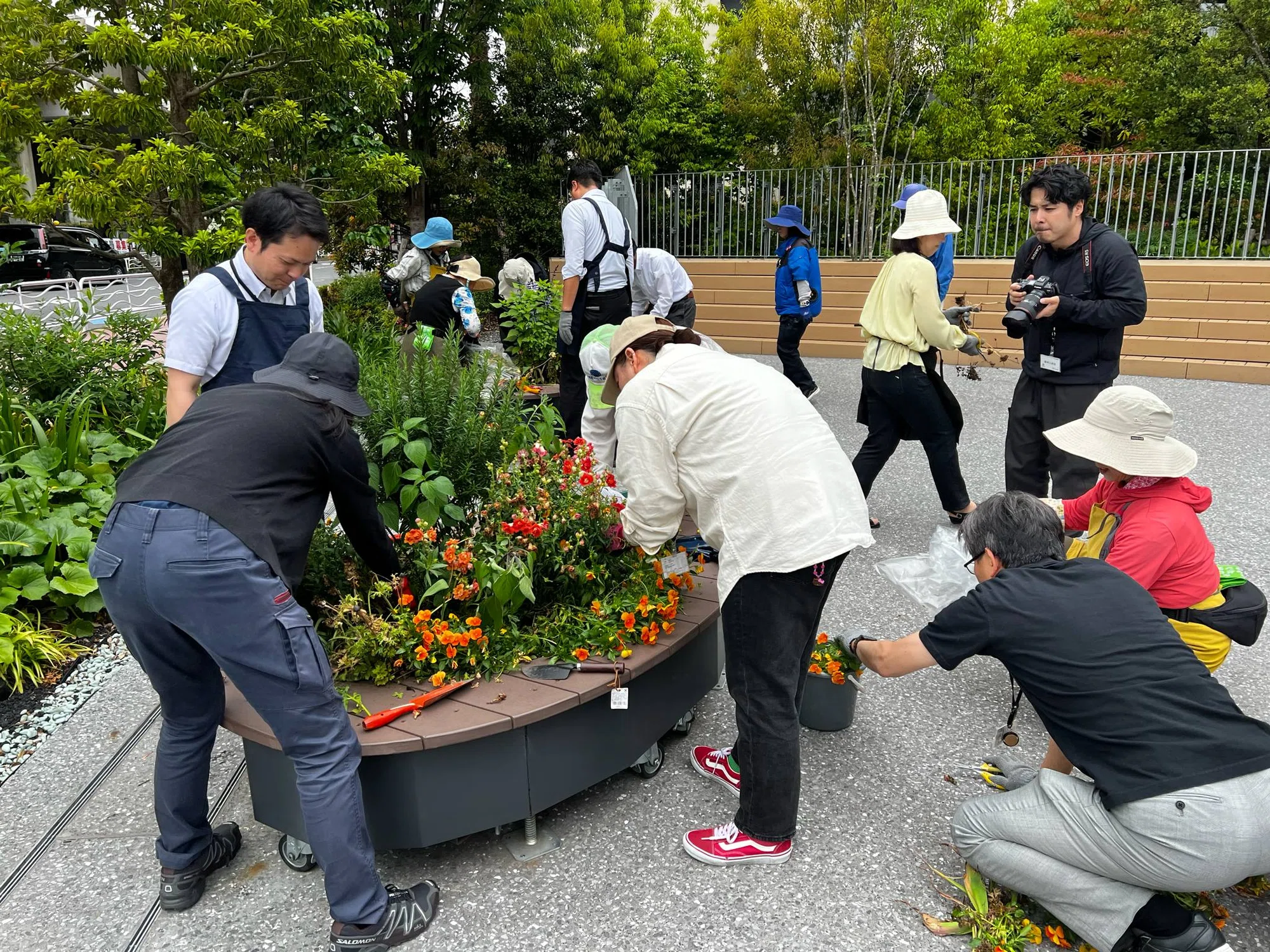 清水建設NOVAREのコミュニティガーデン活動2025年5月16日|東方陽子 清水建設NOVAREのコミュニティガーデン活動2025年5月16日|東方陽子