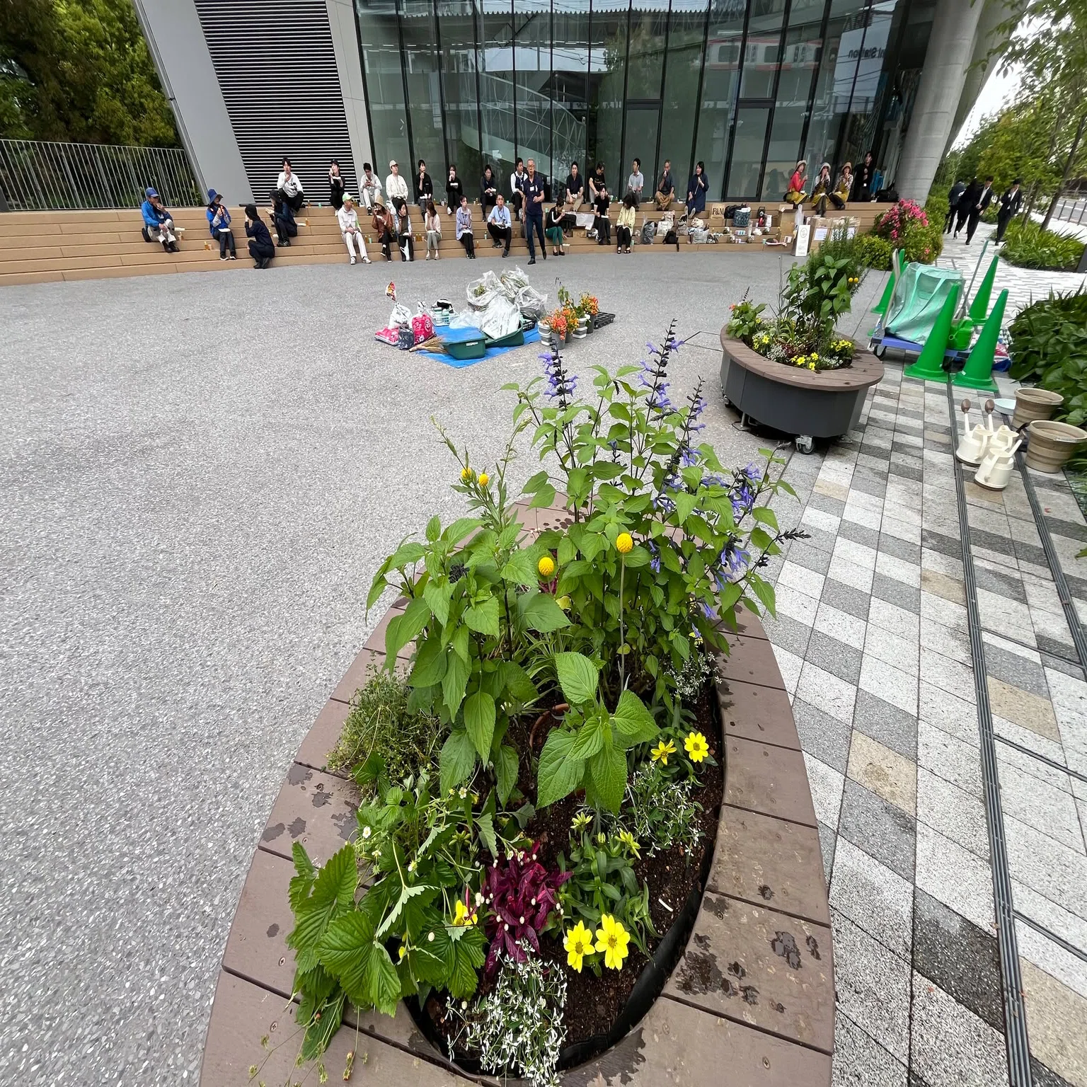 【中古】 コミュニティガーデン 清水建設NOVAREのコミュニティガーデン活動2025年5月16日｜東方陽子