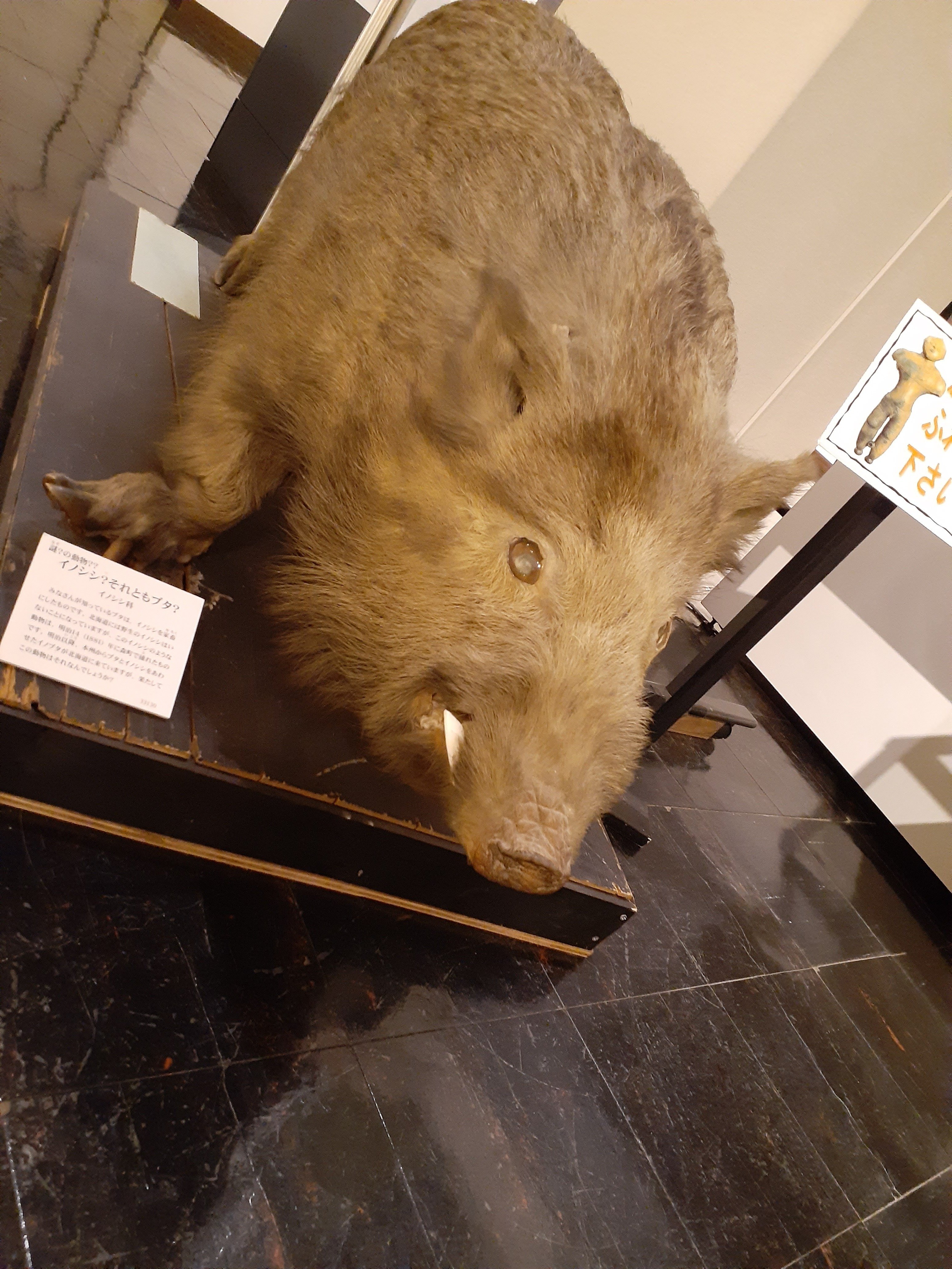 亥の子七代｜TechpanCreate（テクパン・クリエイト）