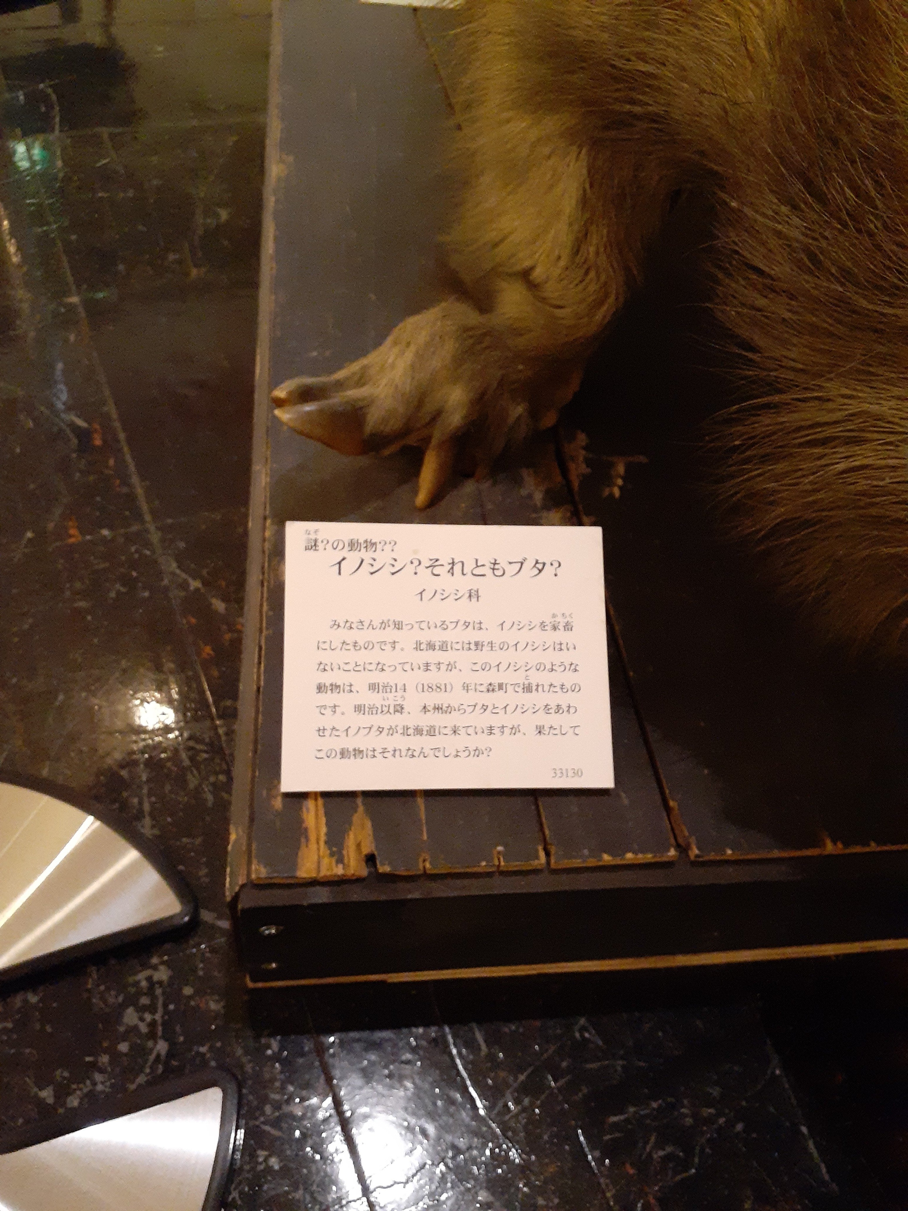 亥の子七代｜TechpanCreate（テクパン・クリエイト）