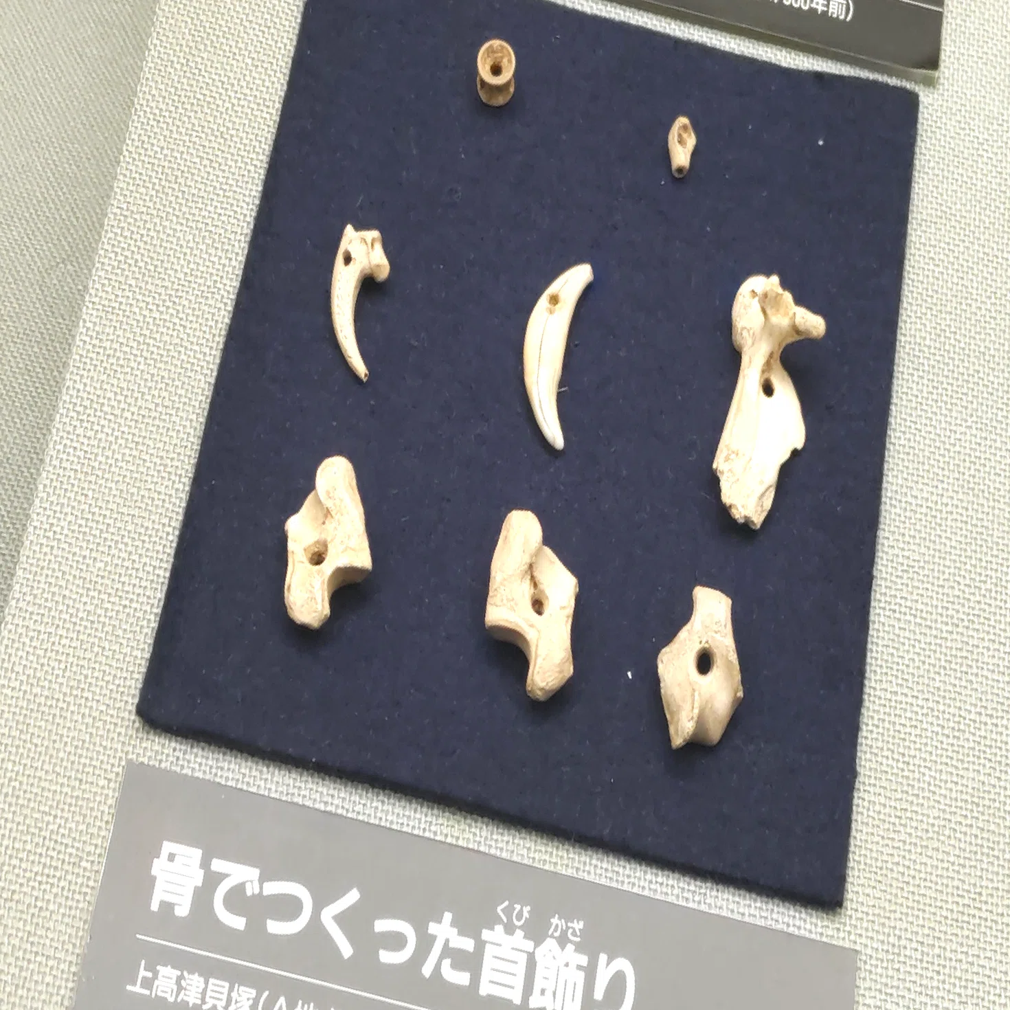 抜群の「貝塚」感！日本初の調味料・塩作りの痕跡も｜のんてり