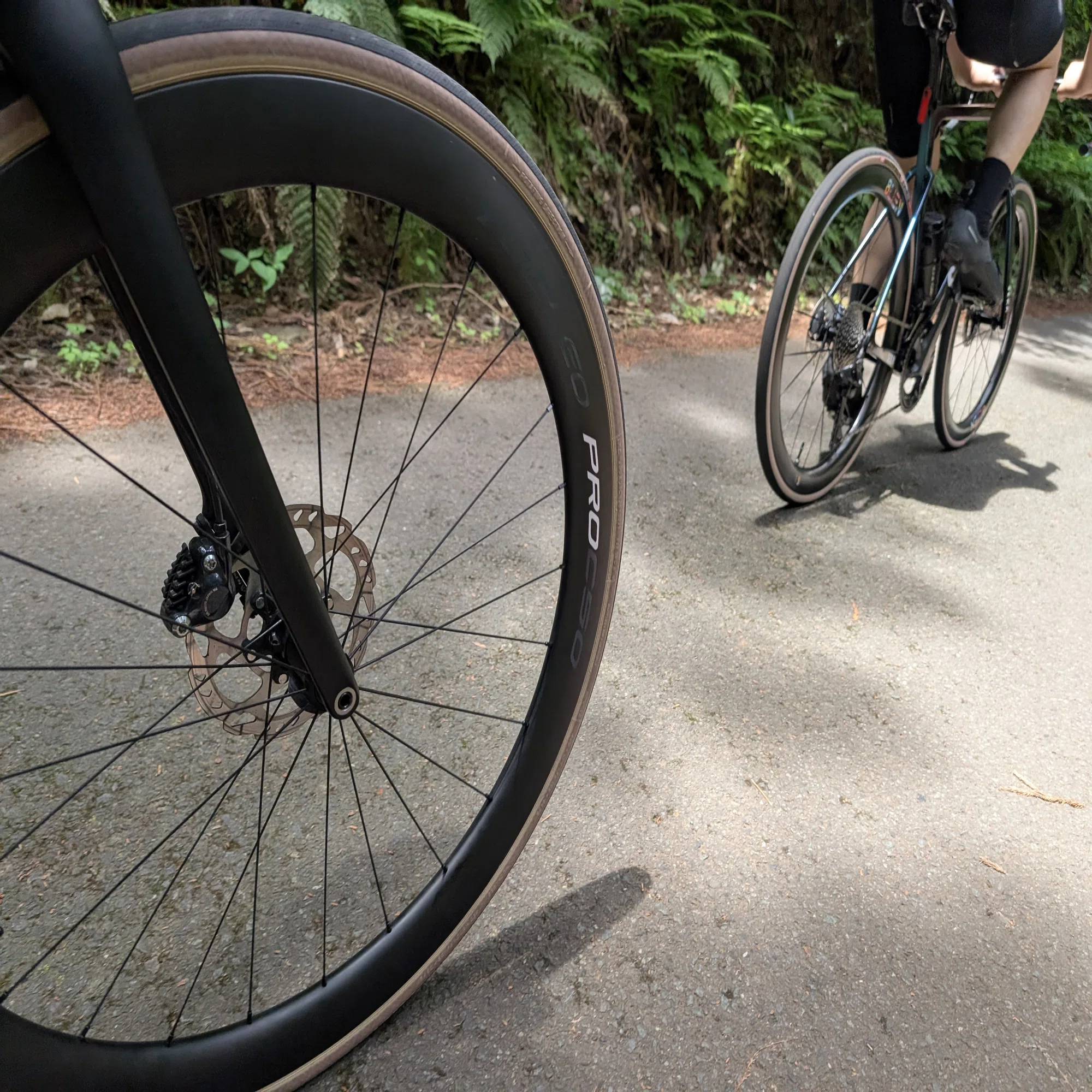 YOELEO SAT C50 DB PRO NxT SL2インプレッション：コスパ最強の50mm 