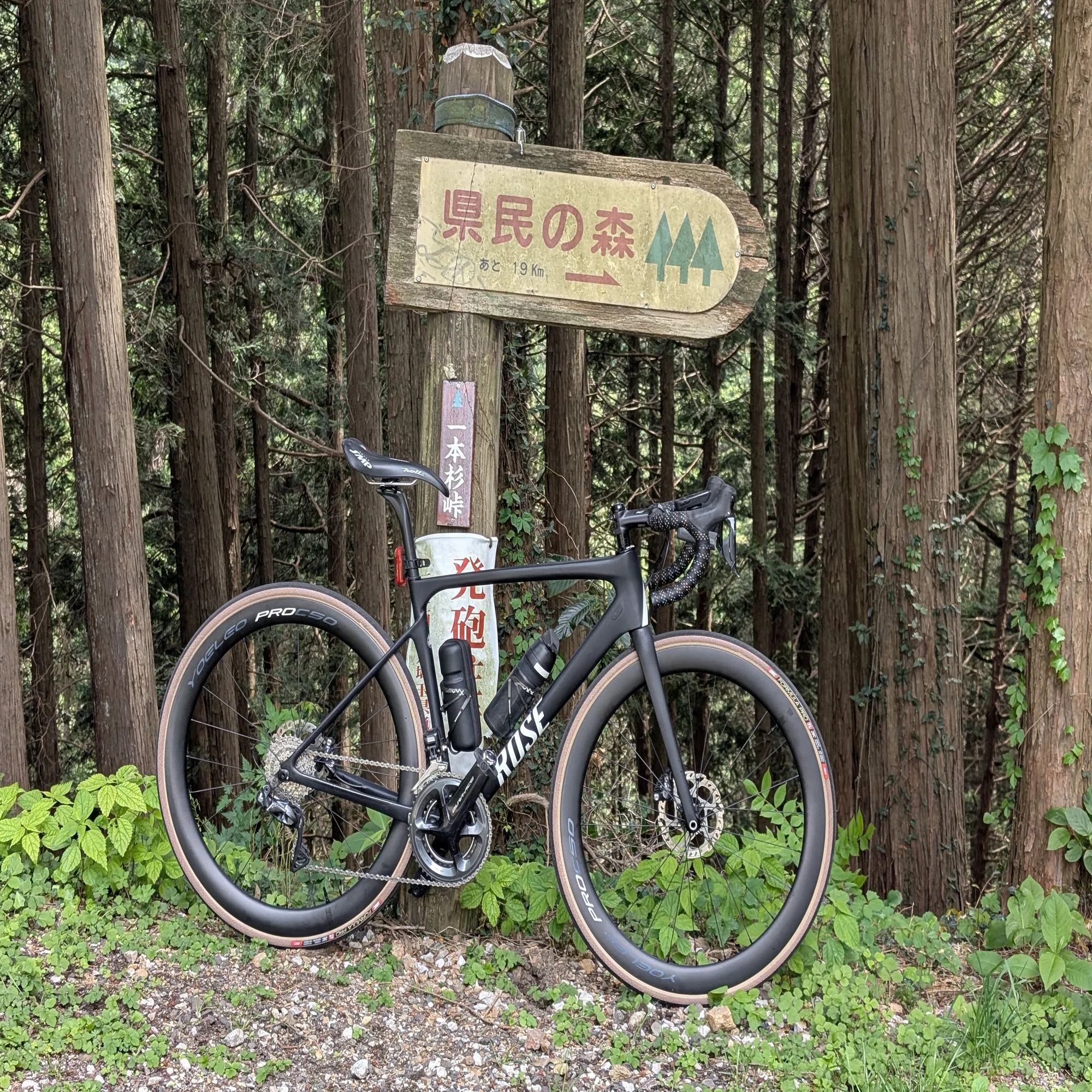 YOELEO SAT C50 DB PRO NxT SL2インプレッション：コスパ最強の50mm 