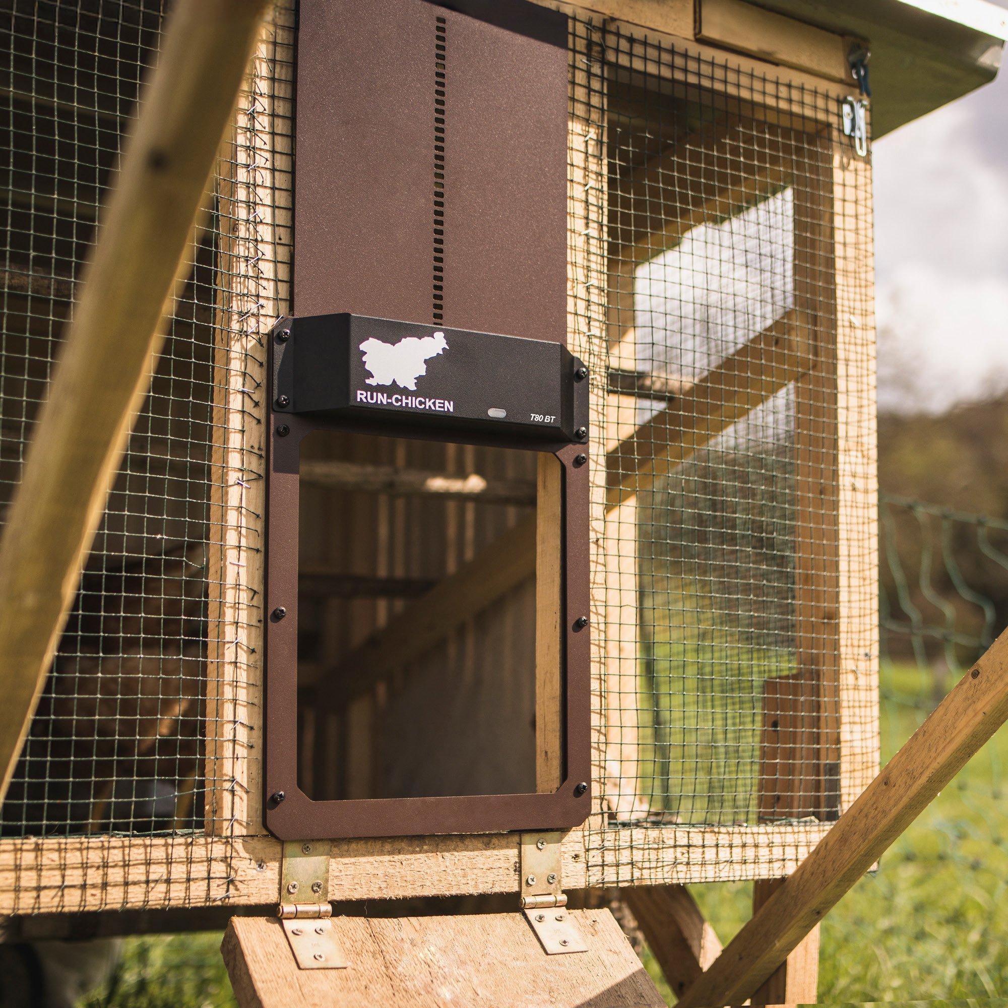 鶏小屋の春の大掃除｜安全・快適に保つための完全ガイド｜RUN-CHICKEN