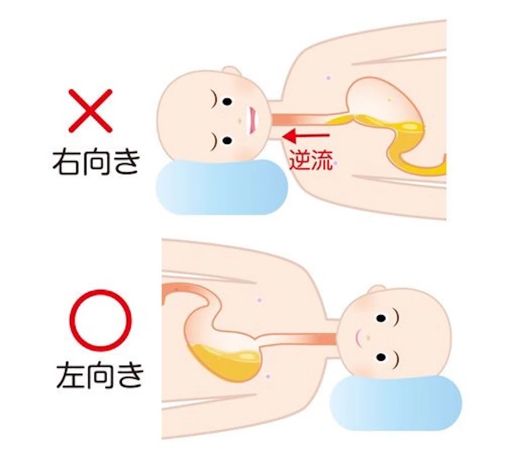 食べ た 後 寝る 向き