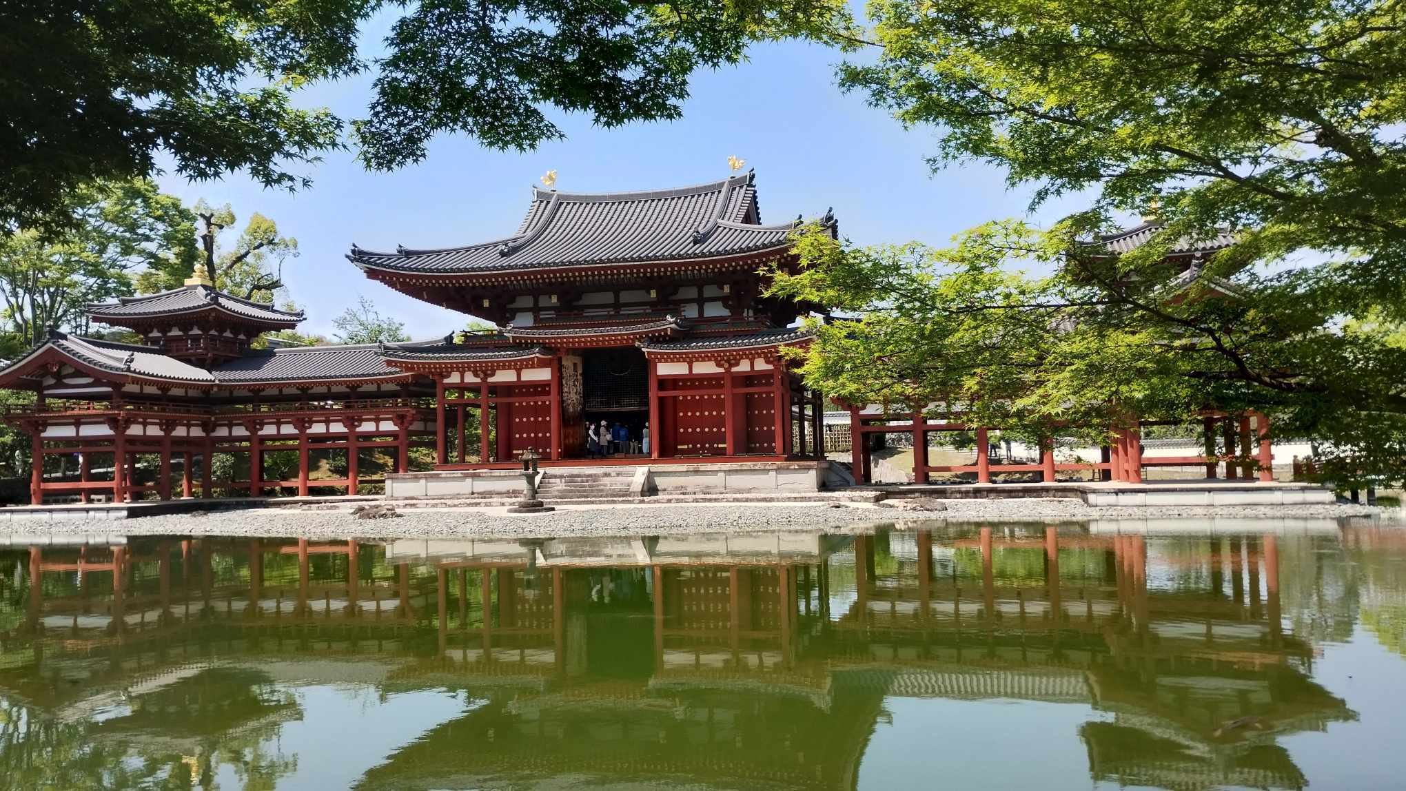 【平等院鳳凰堂図】苑渓 983 京都 共箱　掛け軸　肉筆 絵画 ｜ 世界遺産平等院