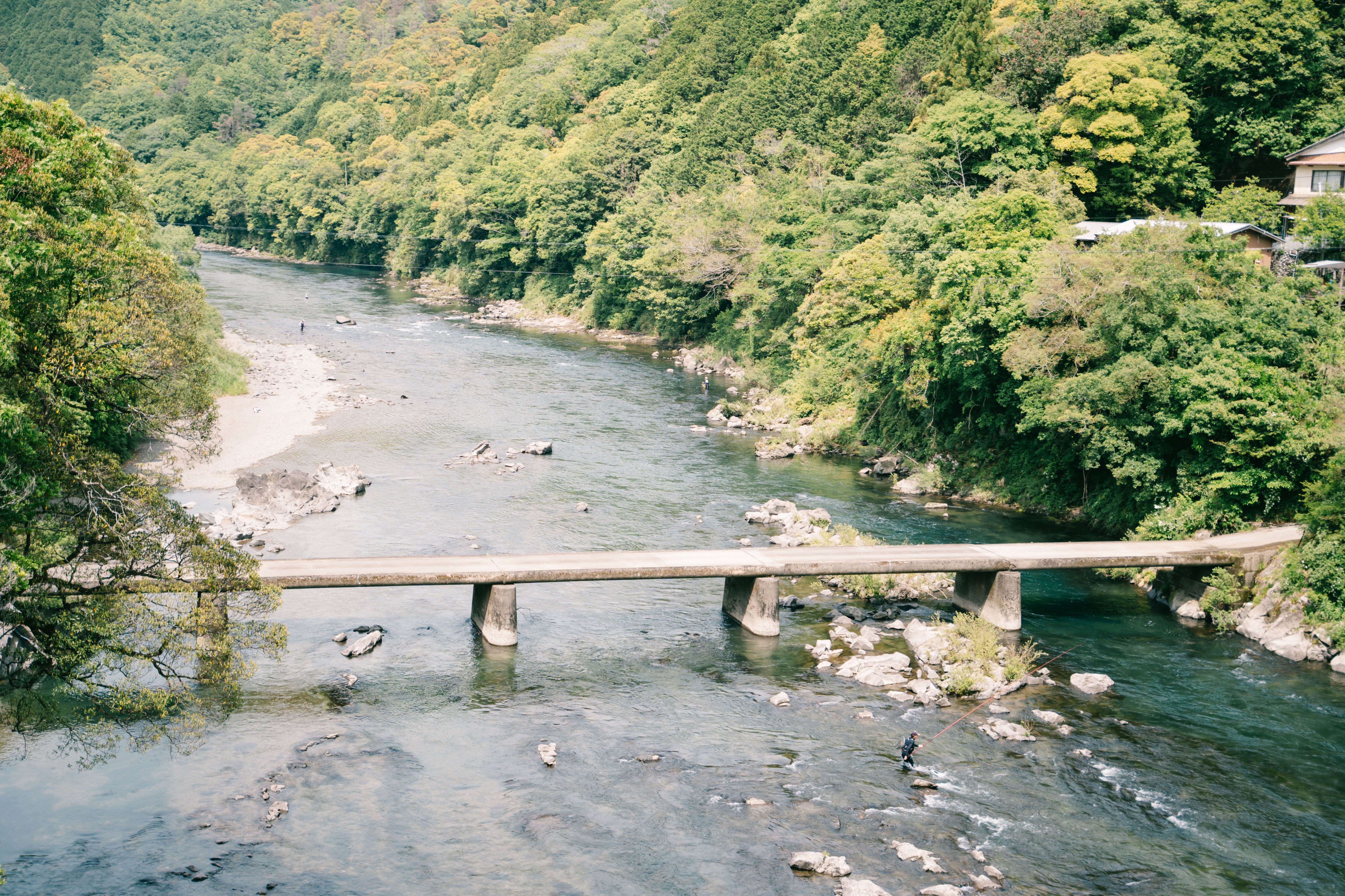 川がざわつく、アユ漁解禁日！気づけば全員、鮎のトリコでした