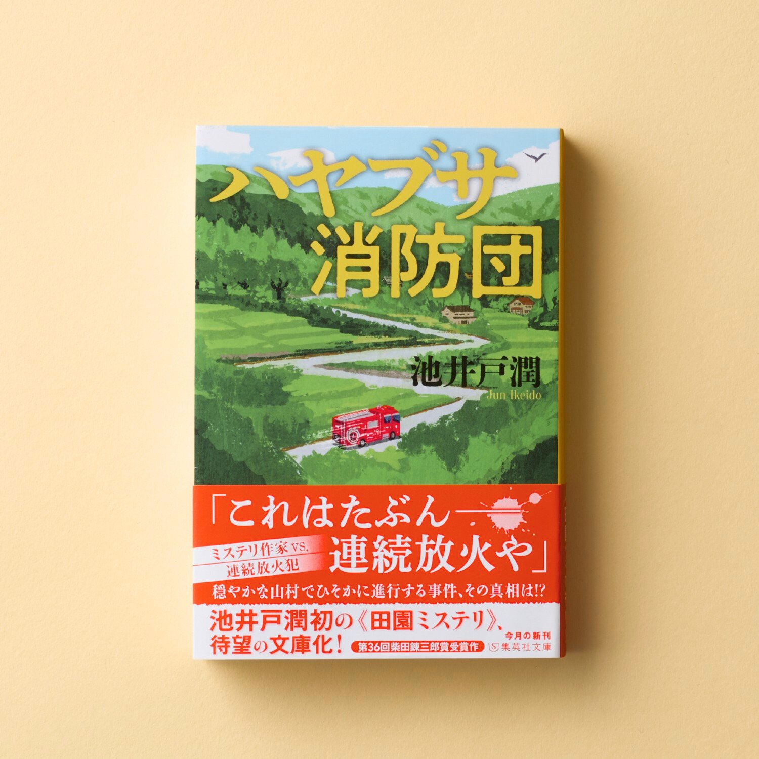 【✨集英社のコミックス・ニュースなど✨】★1992年〜最近の冊子 新刊案内★ ✨集英社のコミックス・ニュースなど✨】☆1992年〜最近の冊子