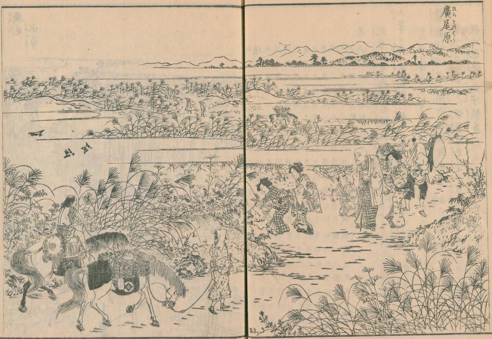 毘沙門天と徳川家康｜『江戸名所図会』に紹介された、広尾のパワー