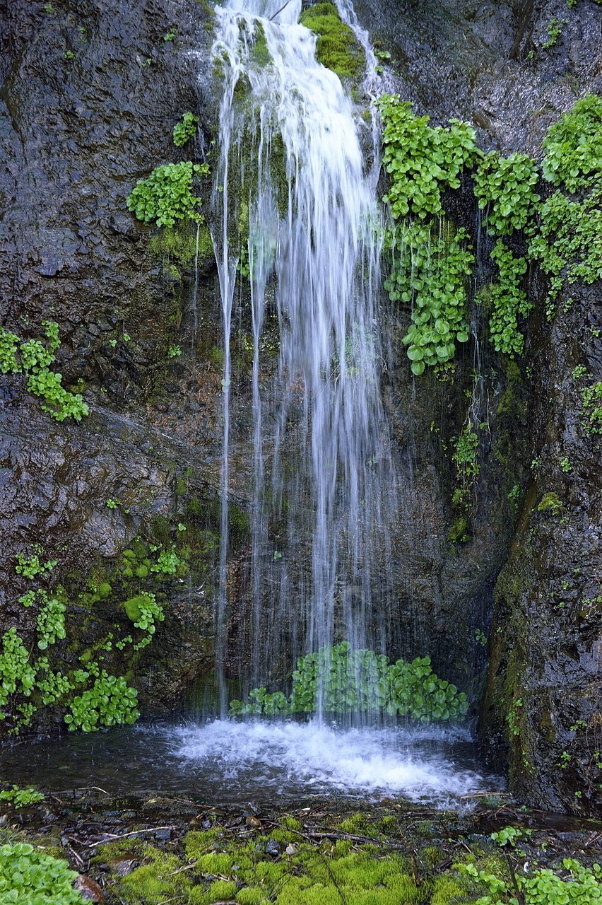 Voigtlander BESSA II COLOR-SKOPAR ベッサ Voigtlander Bessa II Color Skopar 105mm F3.5 – ねりま中古カメラ