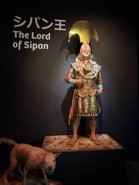 シグネチャーパビリオン - 2025年日本国際博覧会（大阪・関西万博