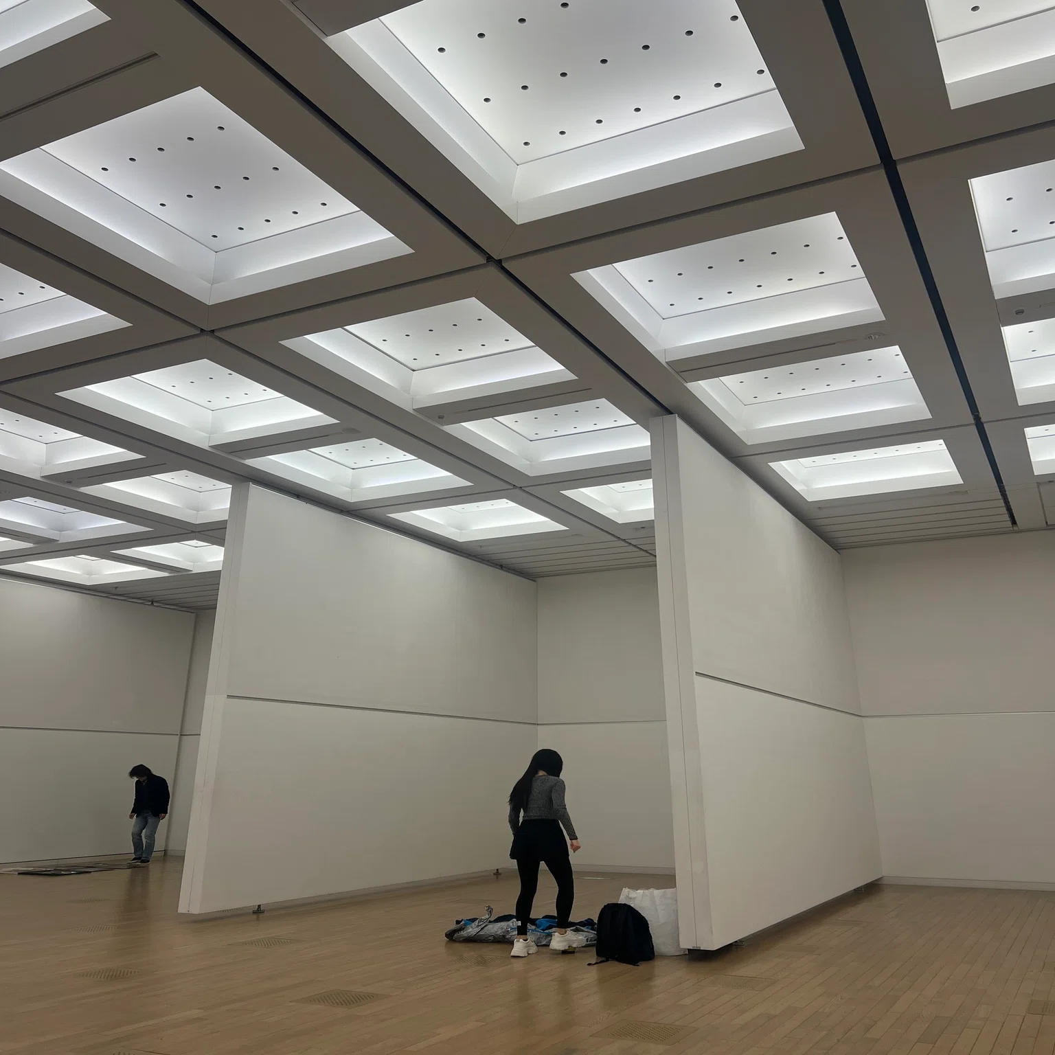 14回 躍動する現代作家展国立新美術館「JK in the street.（普通の女子