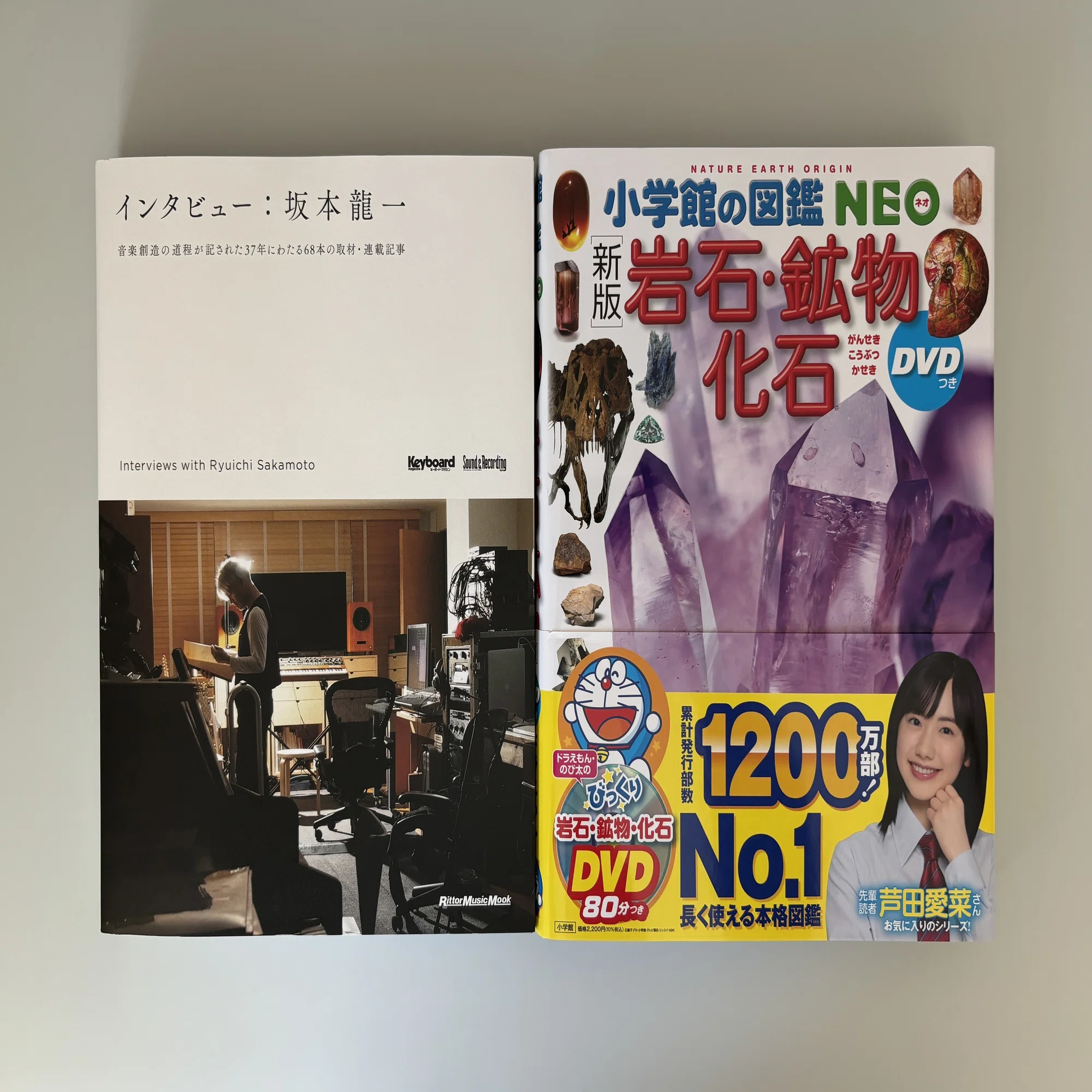 購入本 #012 （2024年11月～12月頃）｜地中キャンプ