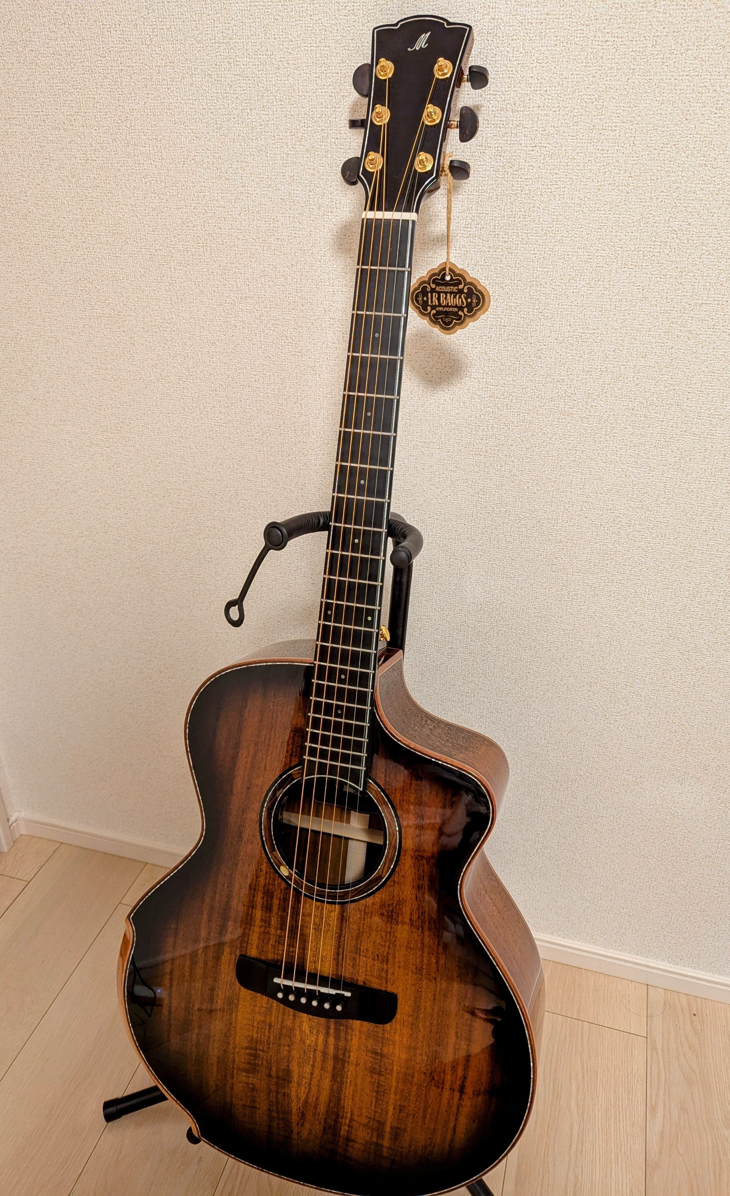 今話題！新品Merida / SCAR【Beyond Series】 コア全単板 - メルカリ